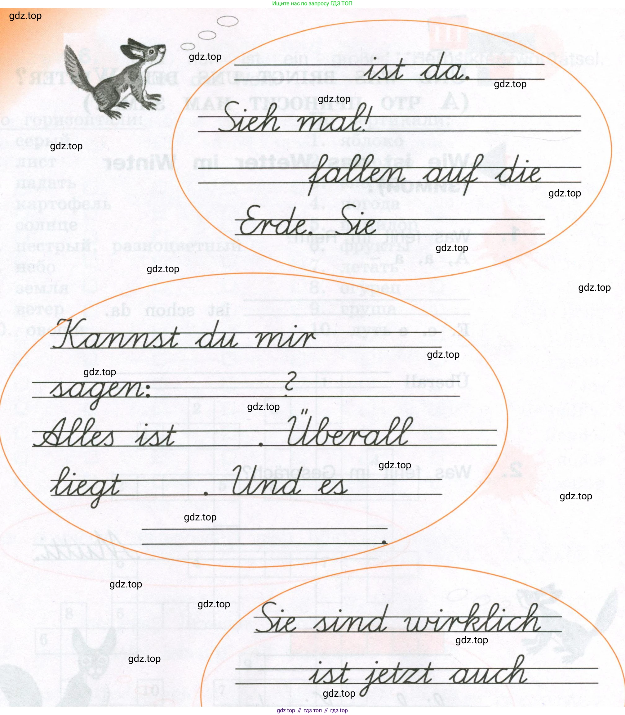 ГДЗ Немецкий язык (Deutsch), 3 класс рабочая тетрадь (arbeitsbuch), авторы: Бим Инесса Львовна (Bim I), Рыжова Лариса Ивановна (Ryschowa L), Фомичева Людмила Михайловна (Fomitschjowa L), издательство Просвещение, Москва, 2023, салатового цвета, Часть 1, страница 81, номер 2, Условие (продолжение 2)
