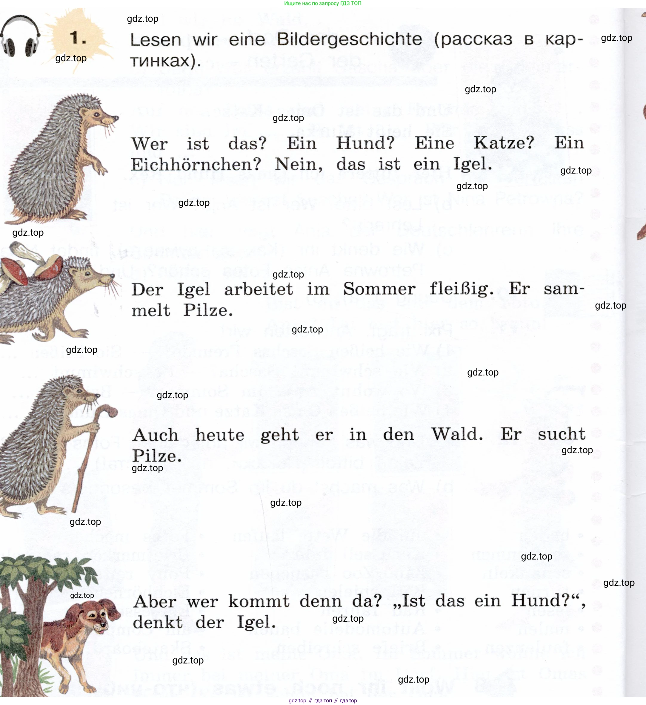 Немецкий язык (Deutsch), 3 класс учебник (lehrbuch), авторы: Бим Инесса Львовна (Bim I), Рыжова Лариса Ивановна (Ryschowa L), Фомичева Людмила Михайловна (Fomitschjowa L), издательство Просвещение, Москва, 2023, салатового цвета, Часть 1, страница 28, номер 1, Условие