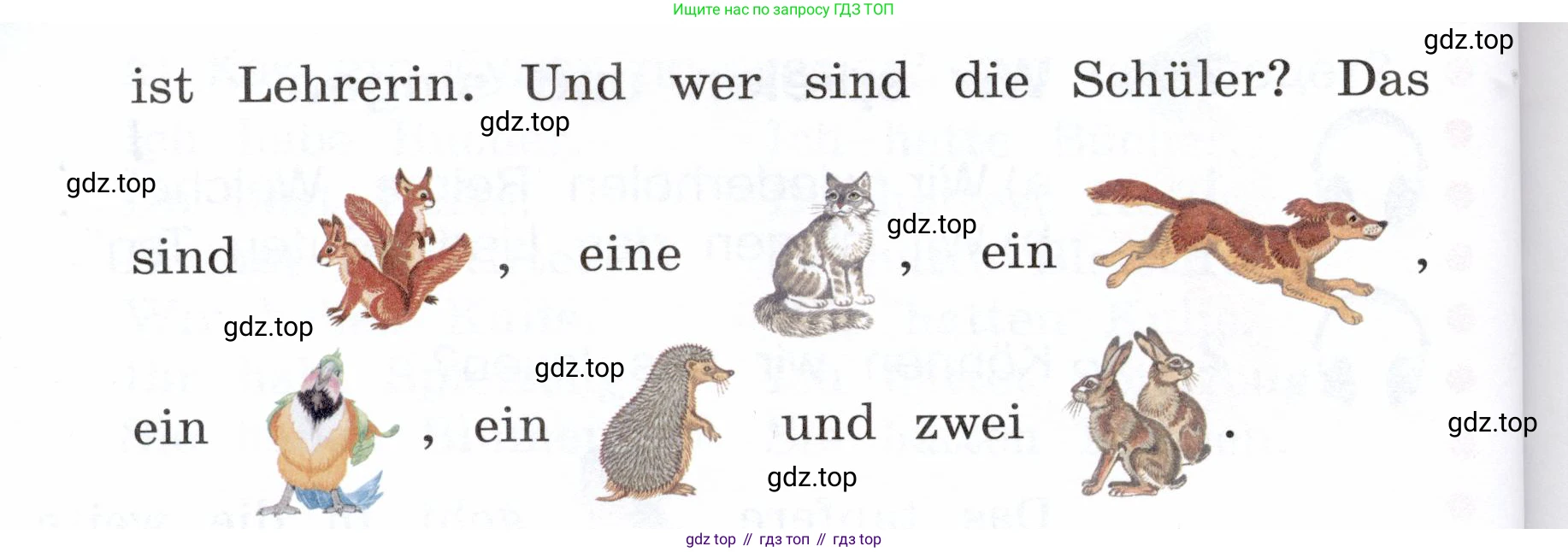 Немецкий язык (Deutsch), 3 класс учебник (lehrbuch), авторы: Бим Инесса Львовна (Bim I), Рыжова Лариса Ивановна (Ryschowa L), Фомичева Людмила Михайловна (Fomitschjowa L), издательство Просвещение, Москва, 2023, салатового цвета, Часть 1, страница 57, номер 2, Условие (продолжение 2)