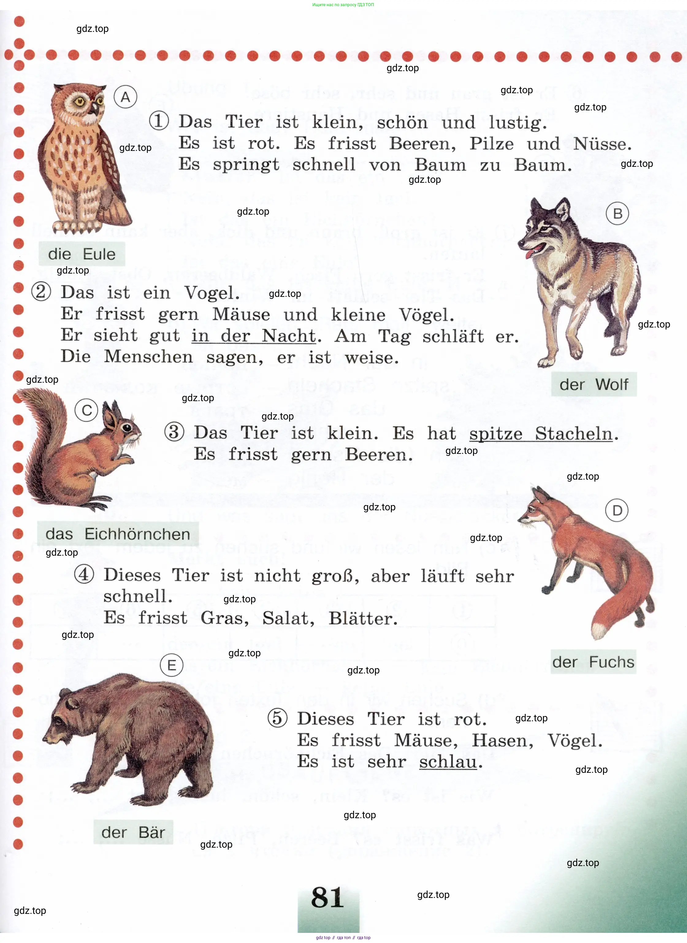 Немецкий язык (Deutsch), 3 класс учебник (lehrbuch), авторы: Бим Инесса Львовна (Bim I), Рыжова Лариса Ивановна (Ryschowa L), Фомичева Людмила Михайловна (Fomitschjowa L), издательство Просвещение, Москва, 2023, салатового цвета, Часть 2, страница 81