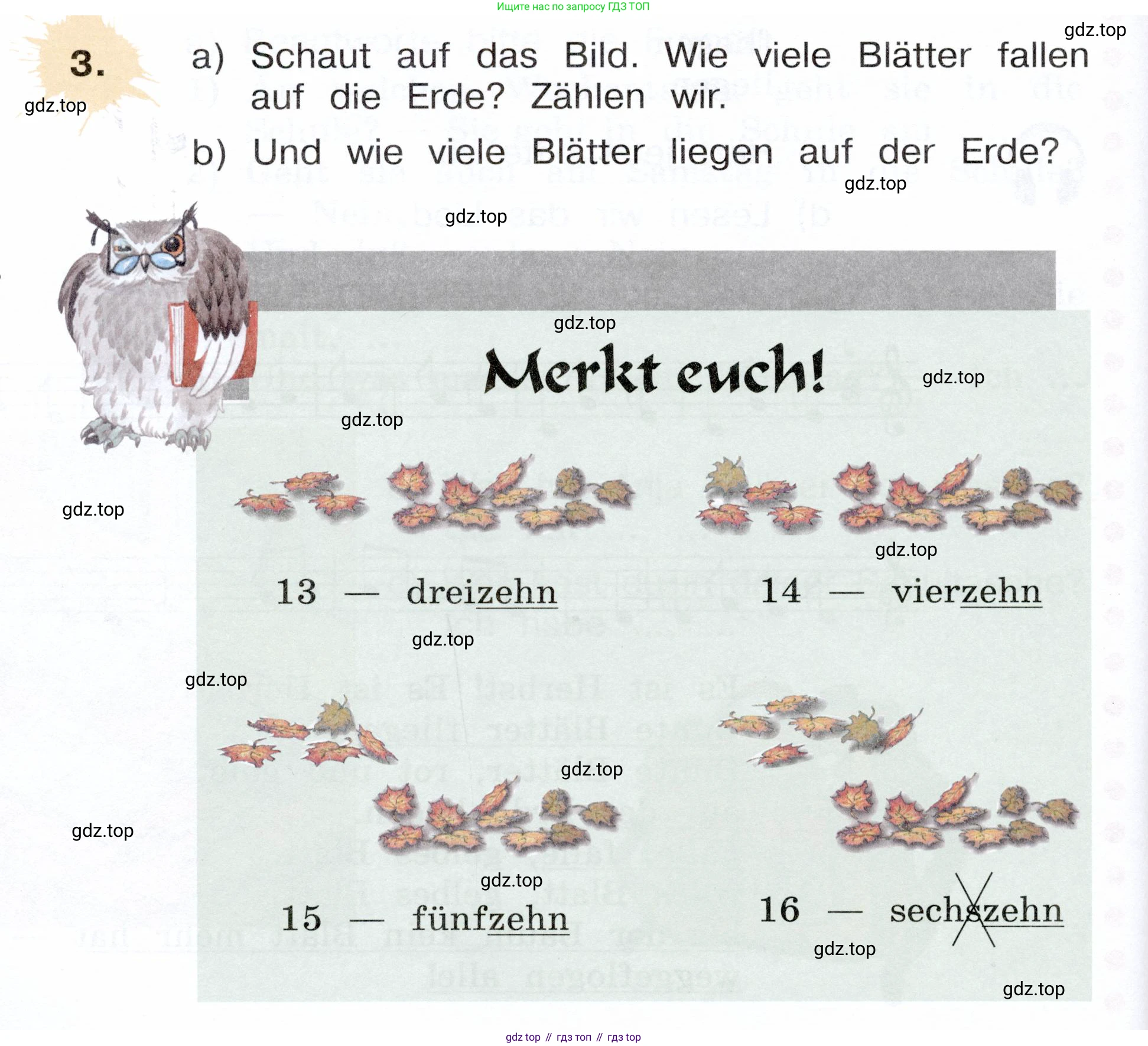 Немецкий язык (Deutsch), 3 класс учебник (lehrbuch), авторы: Бим Инесса Львовна (Bim I), Рыжова Лариса Ивановна (Ryschowa L), Фомичева Людмила Михайловна (Fomitschjowa L), издательство Просвещение, Москва, 2023, салатового цвета, Часть 1, страница 64, номер 3, Условие