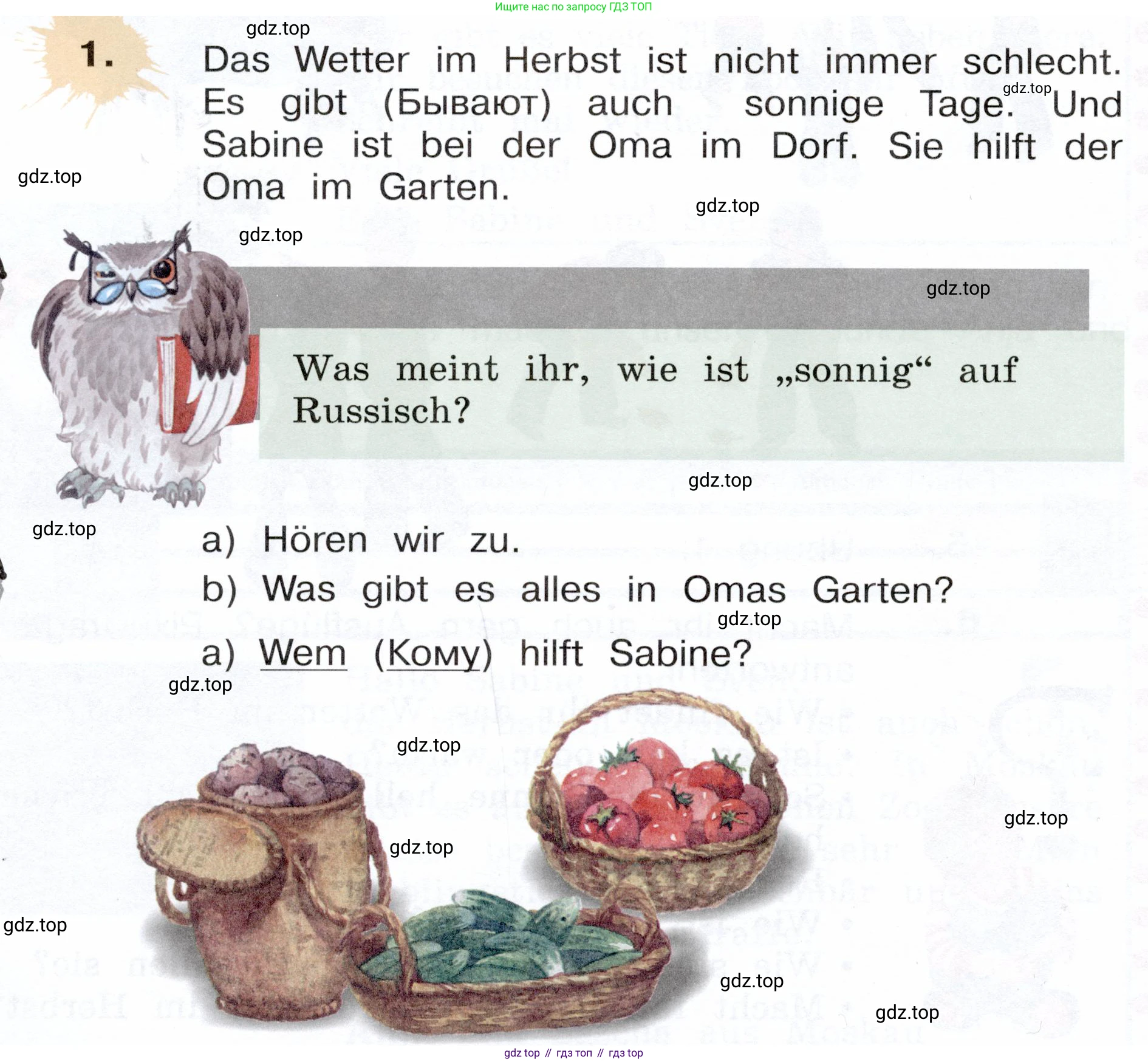 Немецкий язык (Deutsch), 3 класс учебник (lehrbuch), авторы: Бим Инесса Львовна (Bim I), Рыжова Лариса Ивановна (Ryschowa L), Фомичева Людмила Михайловна (Fomitschjowa L), издательство Просвещение, Москва, 2023, салатового цвета, Часть 1, страница 72, номер 1, Условие
