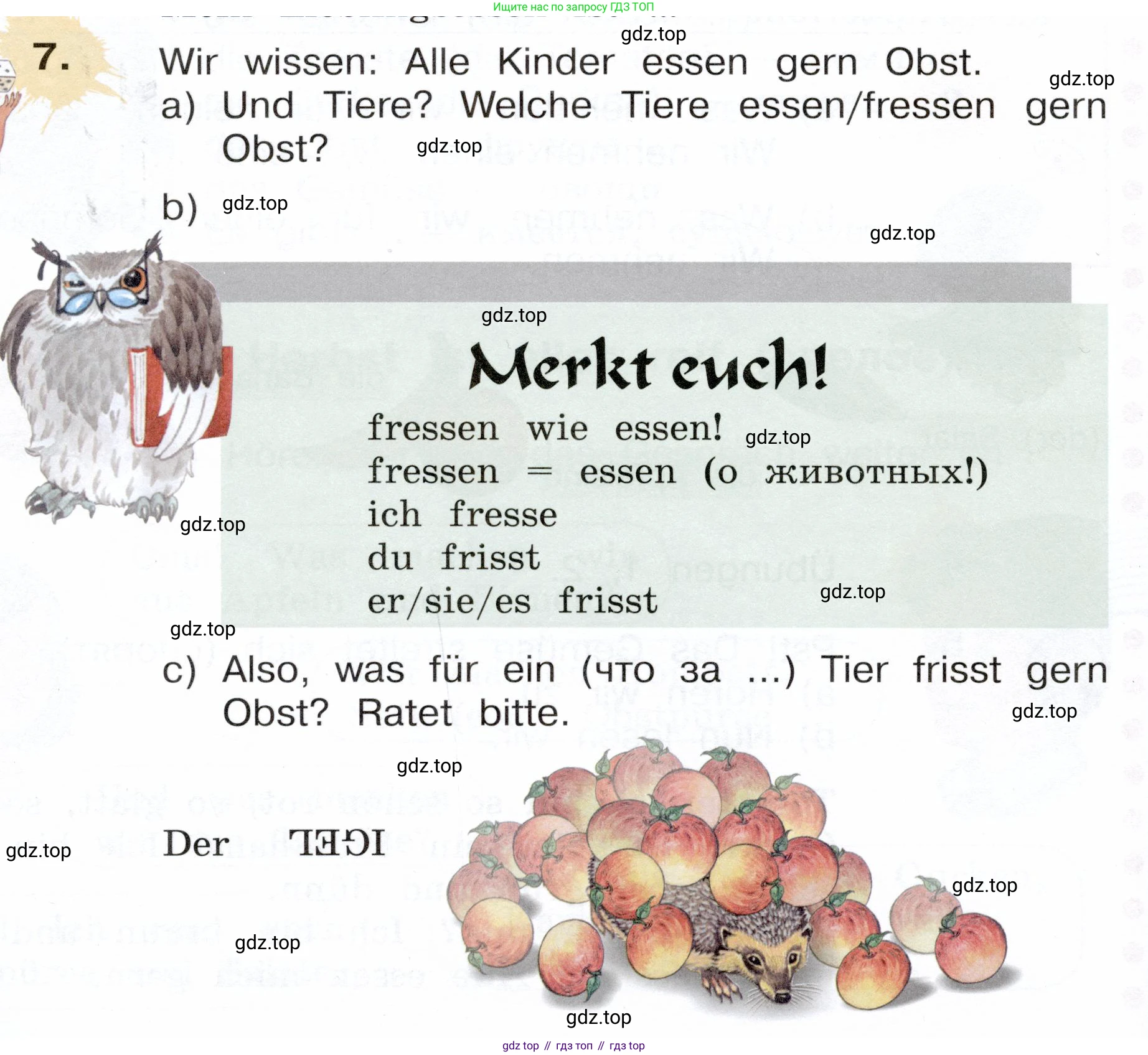 Немецкий язык (Deutsch), 3 класс учебник (lehrbuch), авторы: Бим Инесса Львовна (Bim I), Рыжова Лариса Ивановна (Ryschowa L), Фомичева Людмила Михайловна (Fomitschjowa L), издательство Просвещение, Москва, 2023, салатового цвета, Часть 1, страница 78, номер 7, Условие