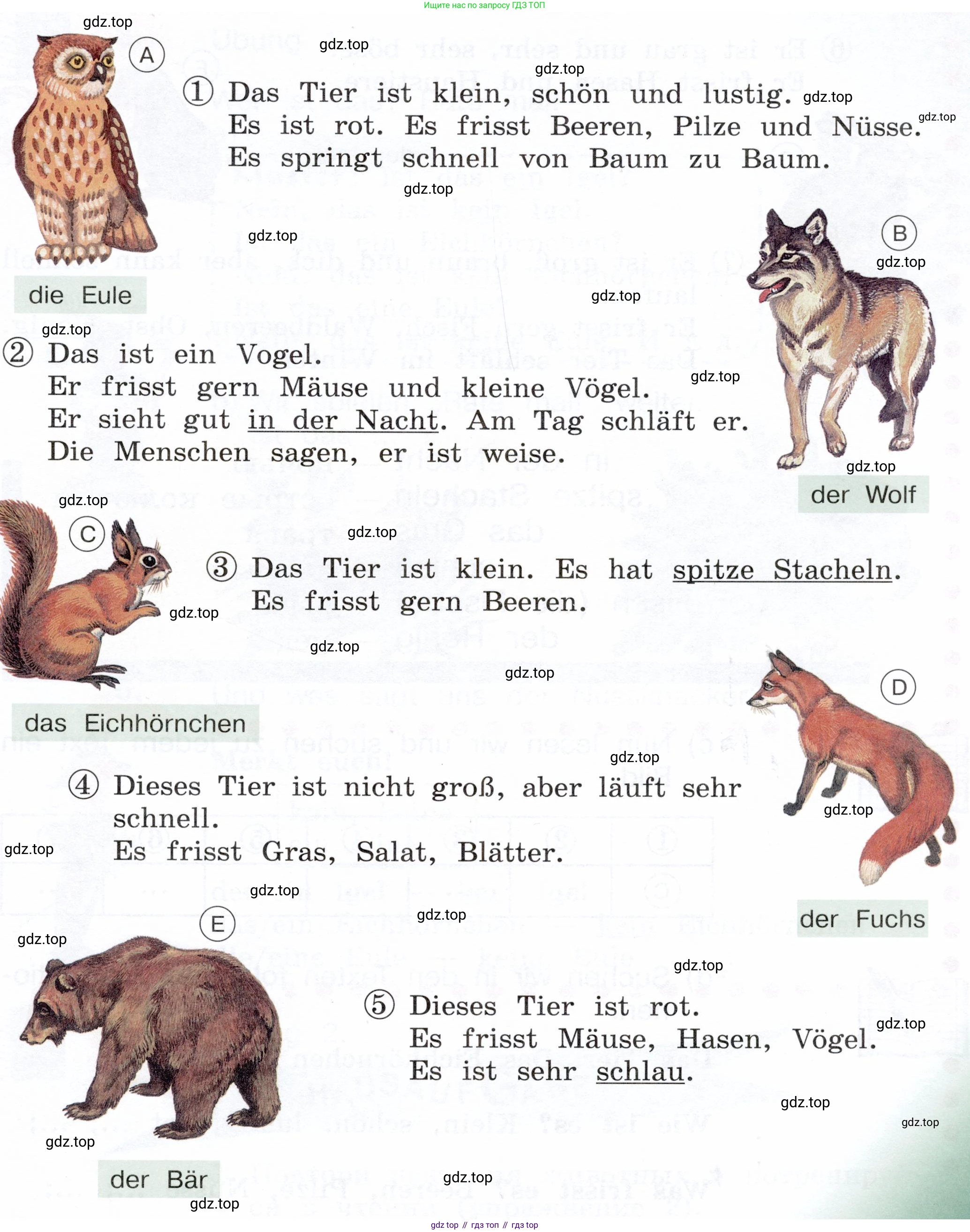Немецкий язык (Deutsch), 3 класс учебник (lehrbuch), авторы: Бим Инесса Львовна (Bim I), Рыжова Лариса Ивановна (Ryschowa L), Фомичева Людмила Михайловна (Fomitschjowa L), издательство Просвещение, Москва, 2023, салатового цвета, Часть 1, страница 80, номер 2, Условие (продолжение 2)
