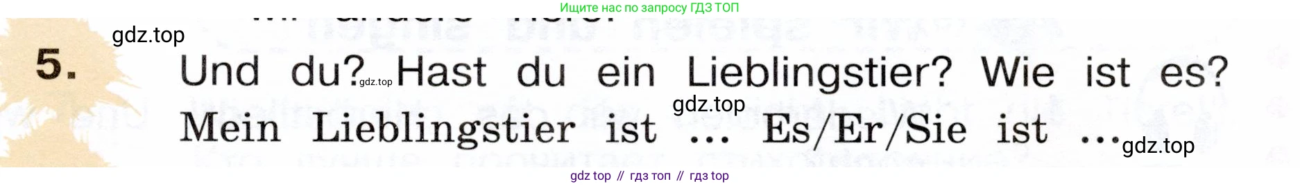 Немецкий язык (Deutsch), 3 класс учебник (lehrbuch), авторы: Бим Инесса Львовна (Bim I), Рыжова Лариса Ивановна (Ryschowa L), Фомичева Людмила Михайловна (Fomitschjowa L), издательство Просвещение, Москва, 2023, салатового цвета, Часть 1, страница 85, номер 5, Условие