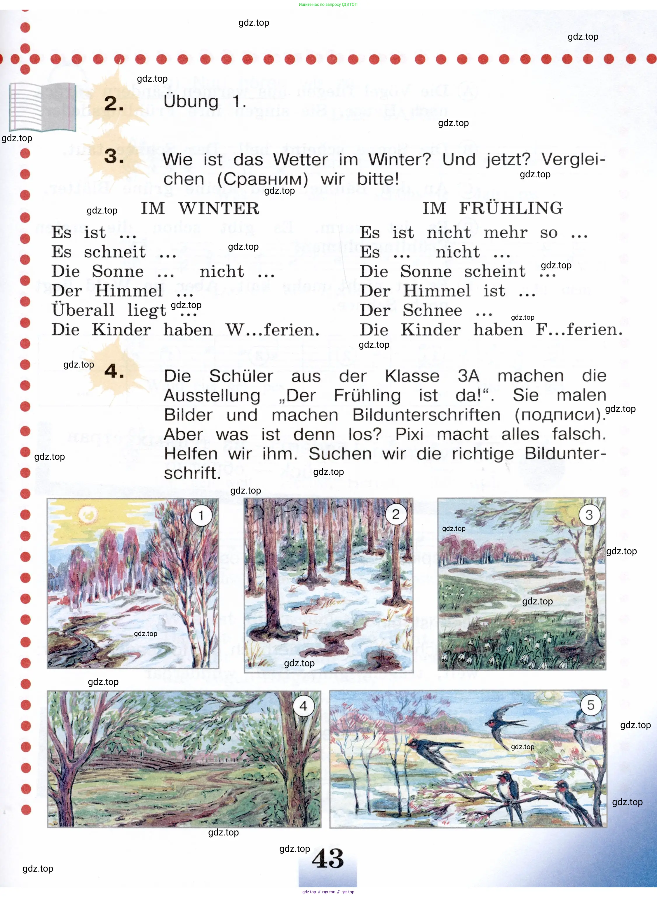 Немецкий язык (Deutsch), 3 класс учебник (lehrbuch), авторы: Бим Инесса Львовна (Bim I), Рыжова Лариса Ивановна (Ryschowa L), Фомичева Людмила Михайловна (Fomitschjowa L), издательство Просвещение, Москва, 2023, салатового цвета, Часть 1, страница 43