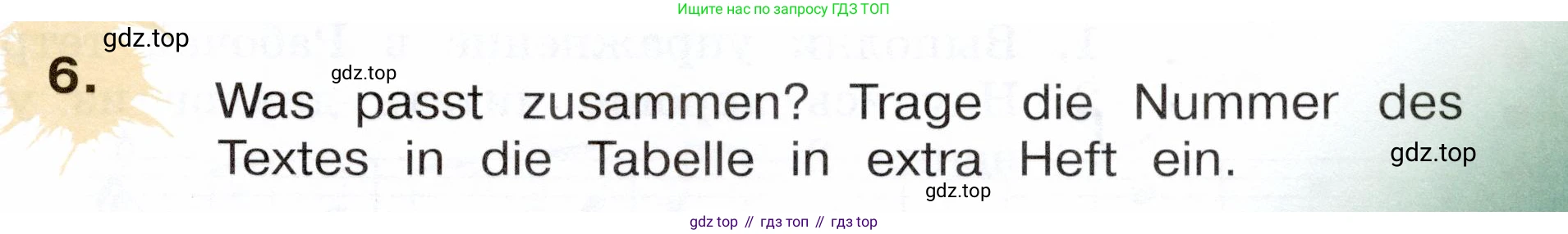 Немецкий язык (Deutsch), 3 класс учебник (lehrbuch), авторы: Бим Инесса Львовна (Bim I), Рыжова Лариса Ивановна (Ryschowa L), Фомичева Людмила Михайловна (Fomitschjowa L), издательство Просвещение, Москва, 2023, салатового цвета, Часть 1, страница 91, номер 6, Условие