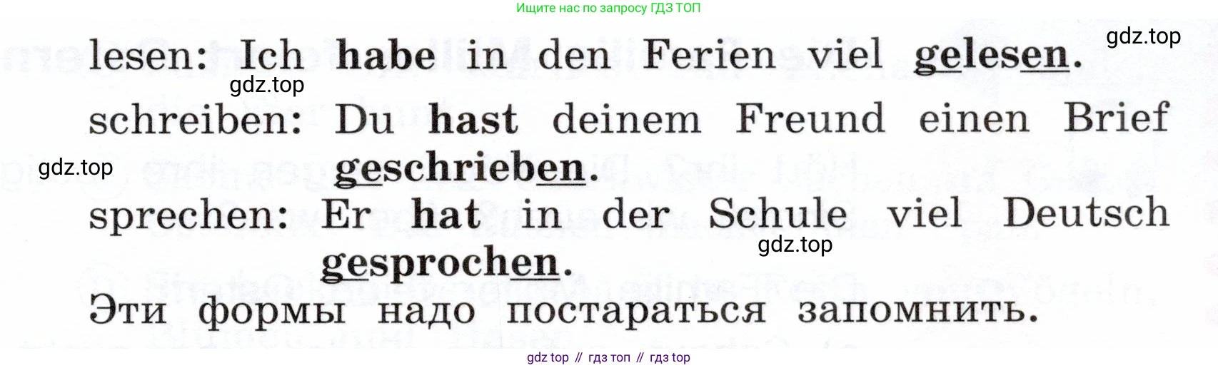 Немецкий язык (Deutsch), 3 класс учебник (lehrbuch), авторы: Бим Инесса Львовна (Bim I), Рыжова Лариса Ивановна (Ryschowa L), Фомичева Людмила Михайловна (Fomitschjowa L), издательство Просвещение, Москва, 2023, салатового цвета, Часть 2, страница 54, номер 5, Условие (продолжение 2)