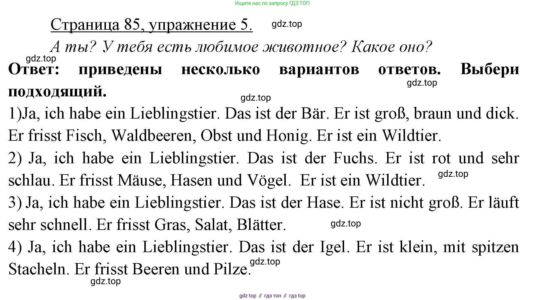 Немецкий язык (Deutsch), 3 класс учебник (lehrbuch), авторы: Бим Инесса Львовна (Bim I), Рыжова Лариса Ивановна (Ryschowa L), Фомичева Людмила Михайловна (Fomitschjowa L), издательство Просвещение, Москва, 2023, салатового цвета, Часть 1, страница 85, номер 5, Решение