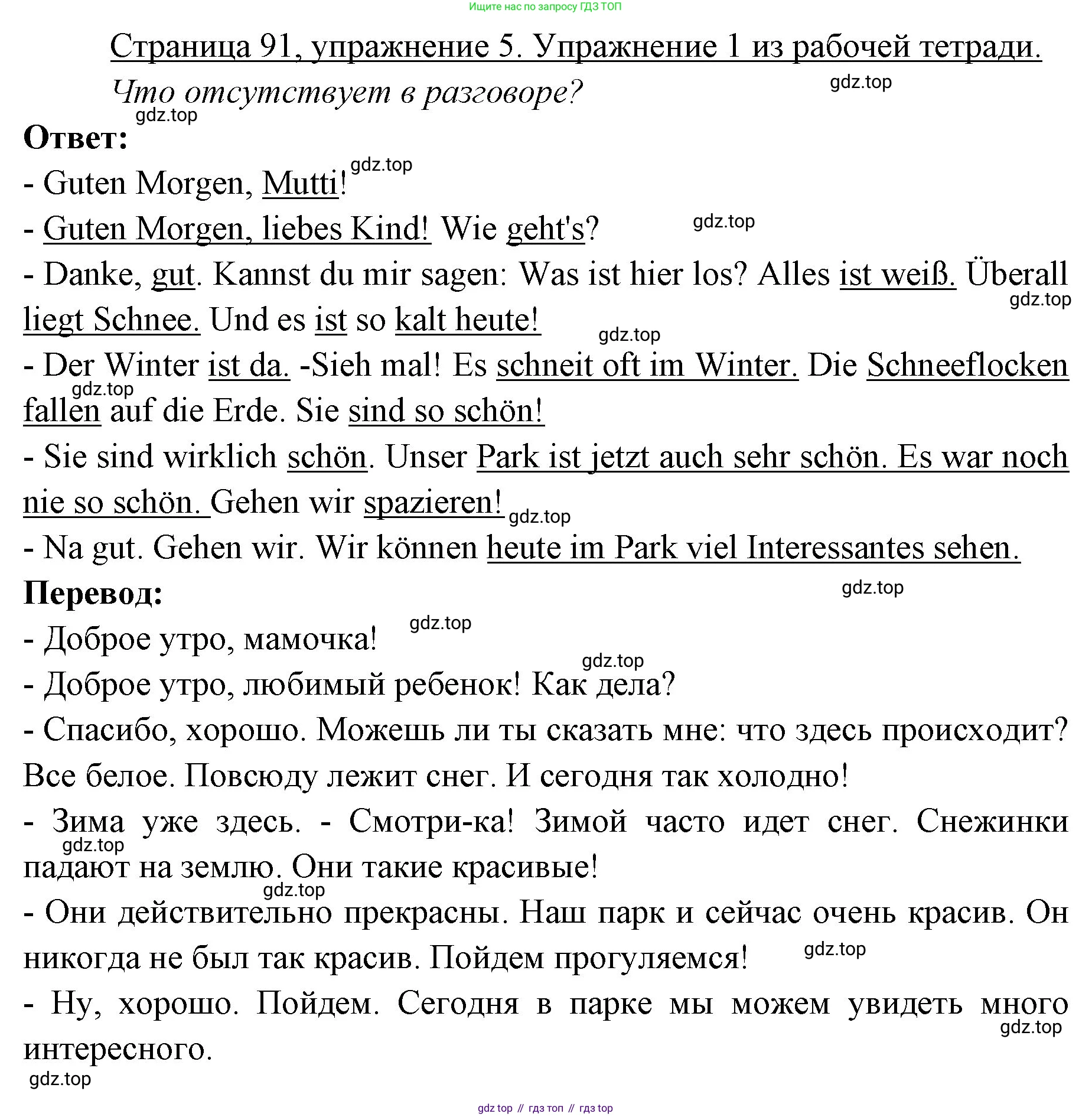Немецкий язык (Deutsch), 3 класс учебник (lehrbuch), авторы: Бим Инесса Львовна (Bim I), Рыжова Лариса Ивановна (Ryschowa L), Фомичева Людмила Михайловна (Fomitschjowa L), издательство Просвещение, Москва, 2023, салатового цвета, Часть 1, страница 91, номер 5, Решение