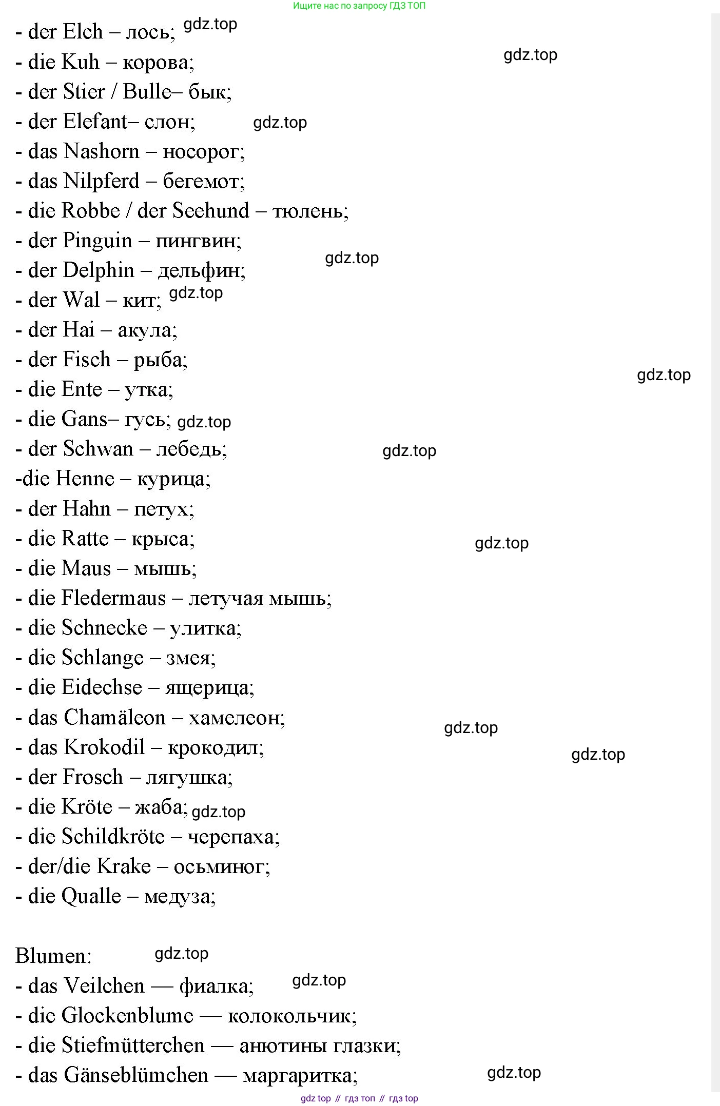 Немецкий язык (Deutsch), 3 класс учебник (lehrbuch), авторы: Бим Инесса Львовна (Bim I), Рыжова Лариса Ивановна (Ryschowa L), Фомичева Людмила Михайловна (Fomitschjowa L), издательство Просвещение, Москва, 2023, салатового цвета, Часть 2, страница 64, номер 6, Решение (продолжение 3)