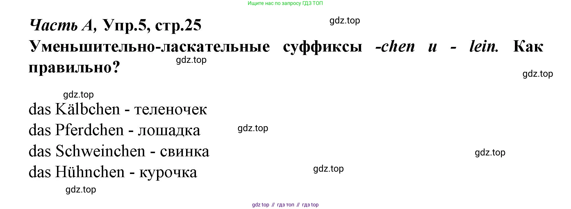 ГДЗ Немецкий язык (Deutsch), 4 класс рабочая тетрадь (arbeitsbuch), авторы: Бим Инесса Львовна (Bim I), Рыжова Лариса Ивановна (Ryschowa L), издательство Просвещение, Москва, 2023, серого цвета, Часть 1, страница 25, номер 5, Решение 2023