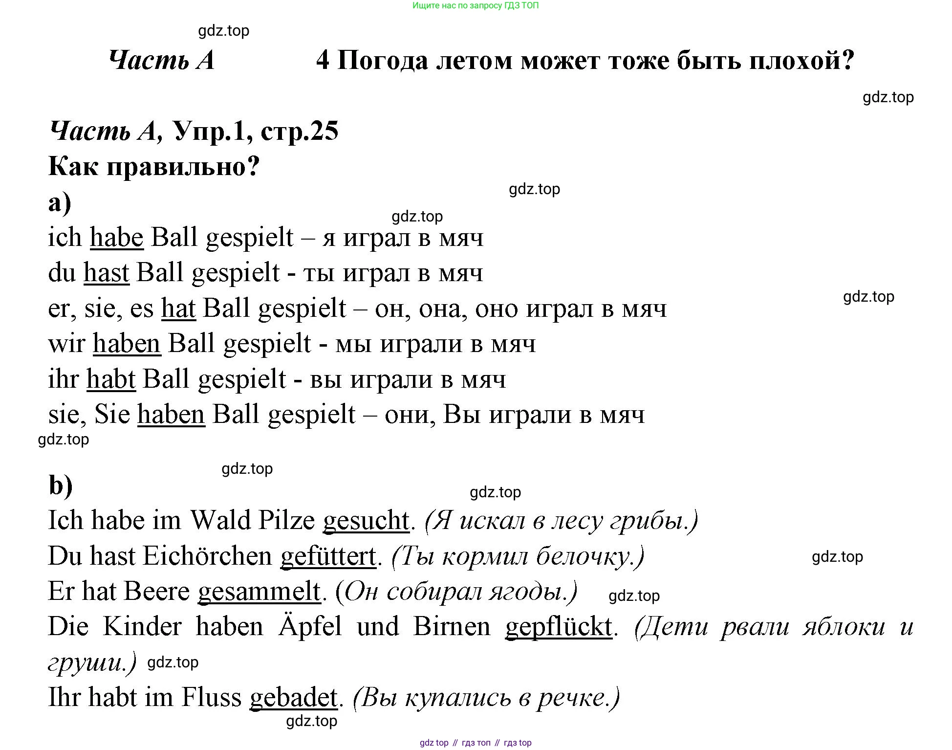 ГДЗ Немецкий язык (Deutsch), 4 класс рабочая тетрадь (arbeitsbuch), авторы: Бим Инесса Львовна (Bim I), Рыжова Лариса Ивановна (Ryschowa L), издательство Просвещение, Москва, 2023, серого цвета, Часть 1, страница 25, номер 1, Решение 2023