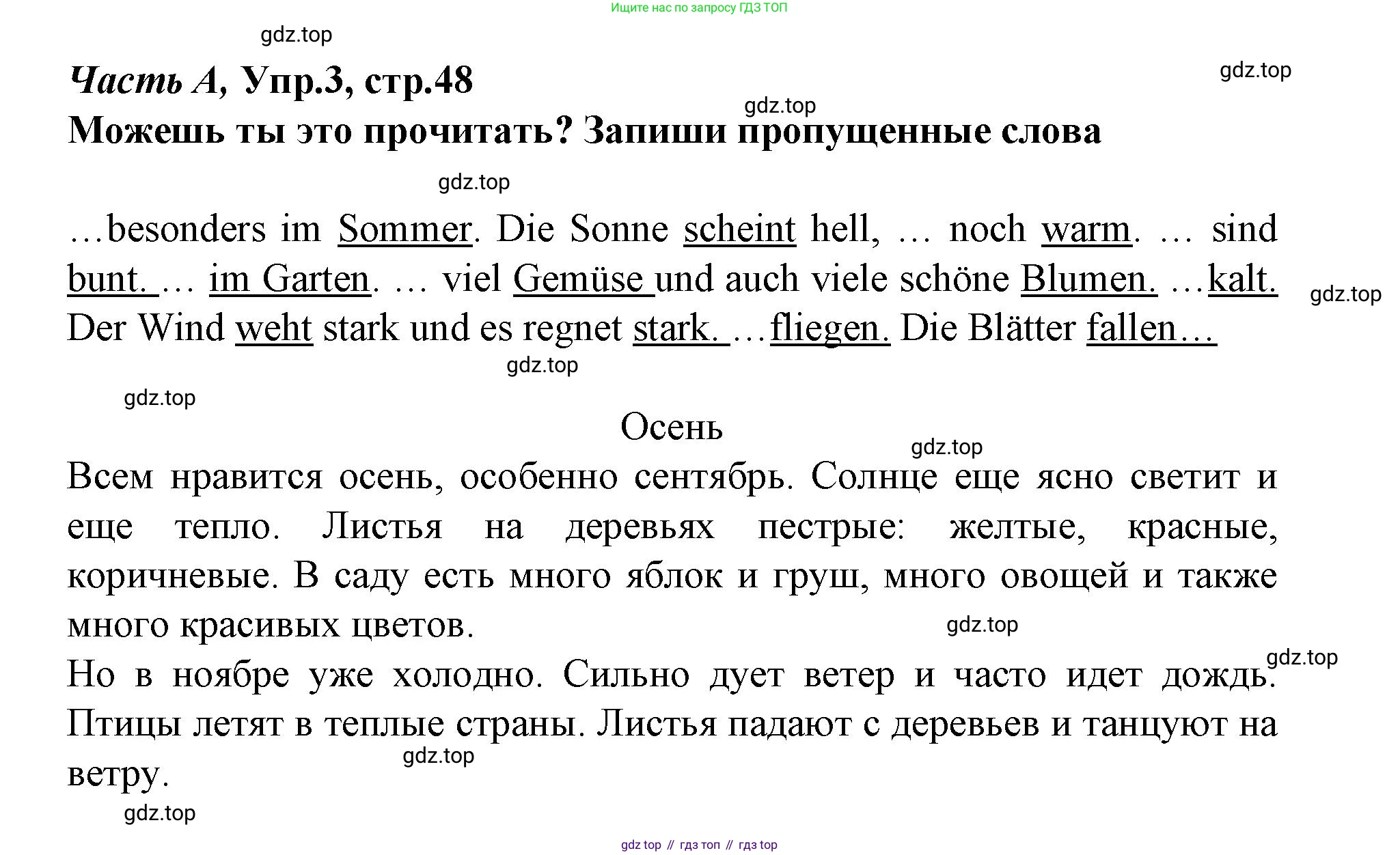 ГДЗ Немецкий язык (Deutsch), 4 класс рабочая тетрадь (arbeitsbuch), авторы: Бим Инесса Львовна (Bim I), Рыжова Лариса Ивановна (Ryschowa L), издательство Просвещение, Москва, 2023, серого цвета, Часть 1, страница 48, номер 3, Решение 2023