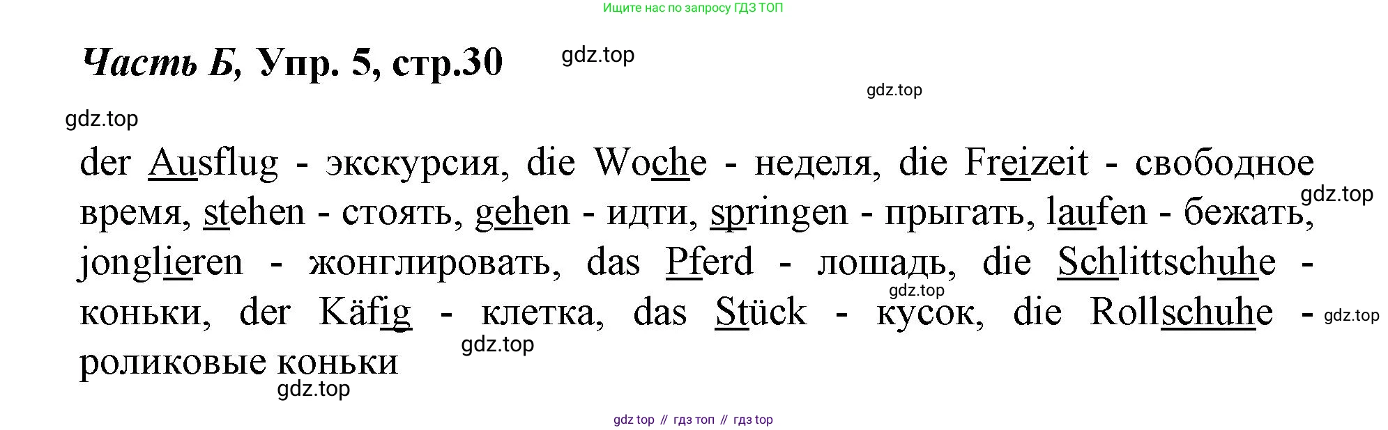 ГДЗ Немецкий язык (Deutsch), 4 класс рабочая тетрадь (arbeitsbuch), авторы: Бим Инесса Львовна (Bim I), Рыжова Лариса Ивановна (Ryschowa L), издательство Просвещение, Москва, 2023, серого цвета, Часть 2, страница 30, номер 5, Решение 2023