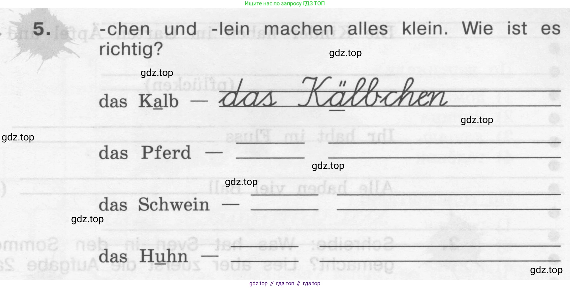ГДЗ Немецкий язык (Deutsch), 4 класс рабочая тетрадь (arbeitsbuch), авторы: Бим Инесса Львовна (Bim I), Рыжова Лариса Ивановна (Ryschowa L), издательство Просвещение, Москва, 2023, серого цвета, Часть 1, страница 25, номер 5, Условие 2008-2022