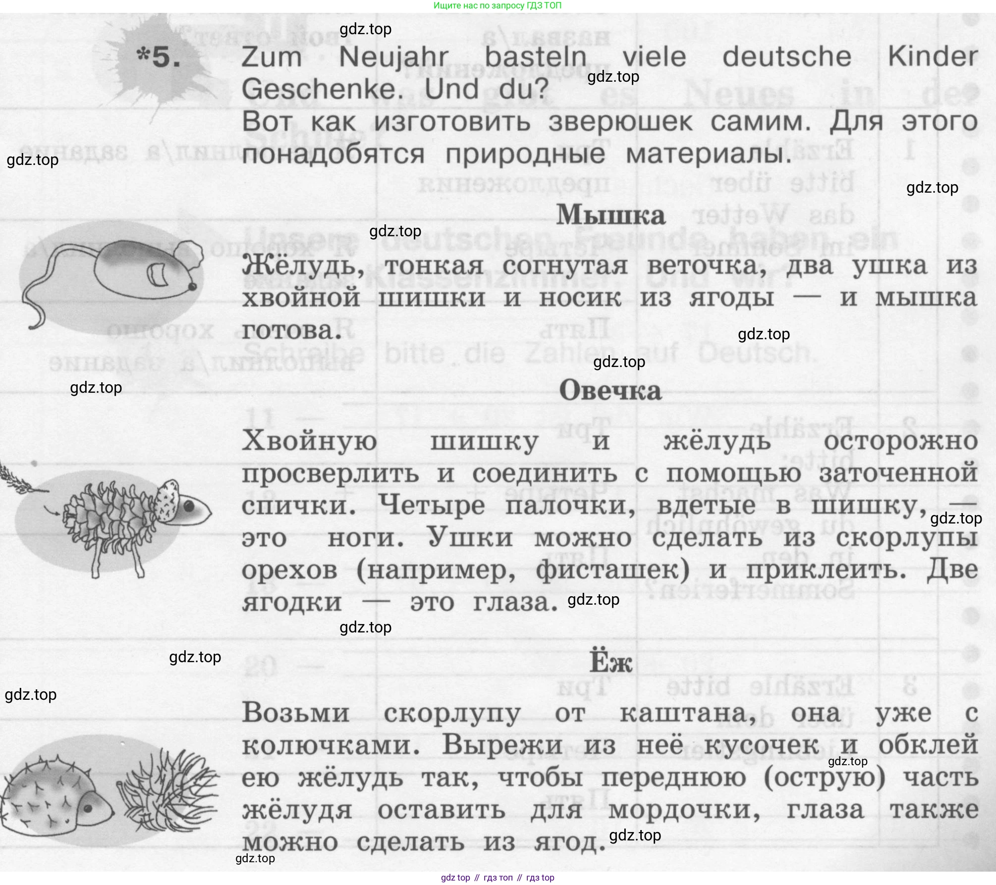 ГДЗ Немецкий язык (Deutsch), 4 класс рабочая тетрадь (arbeitsbuch), авторы: Бим Инесса Львовна (Bim I), Рыжова Лариса Ивановна (Ryschowa L), издательство Просвещение, Москва, 2023, серого цвета, Часть 1, страница 35, номер 5, Условие 2008-2022