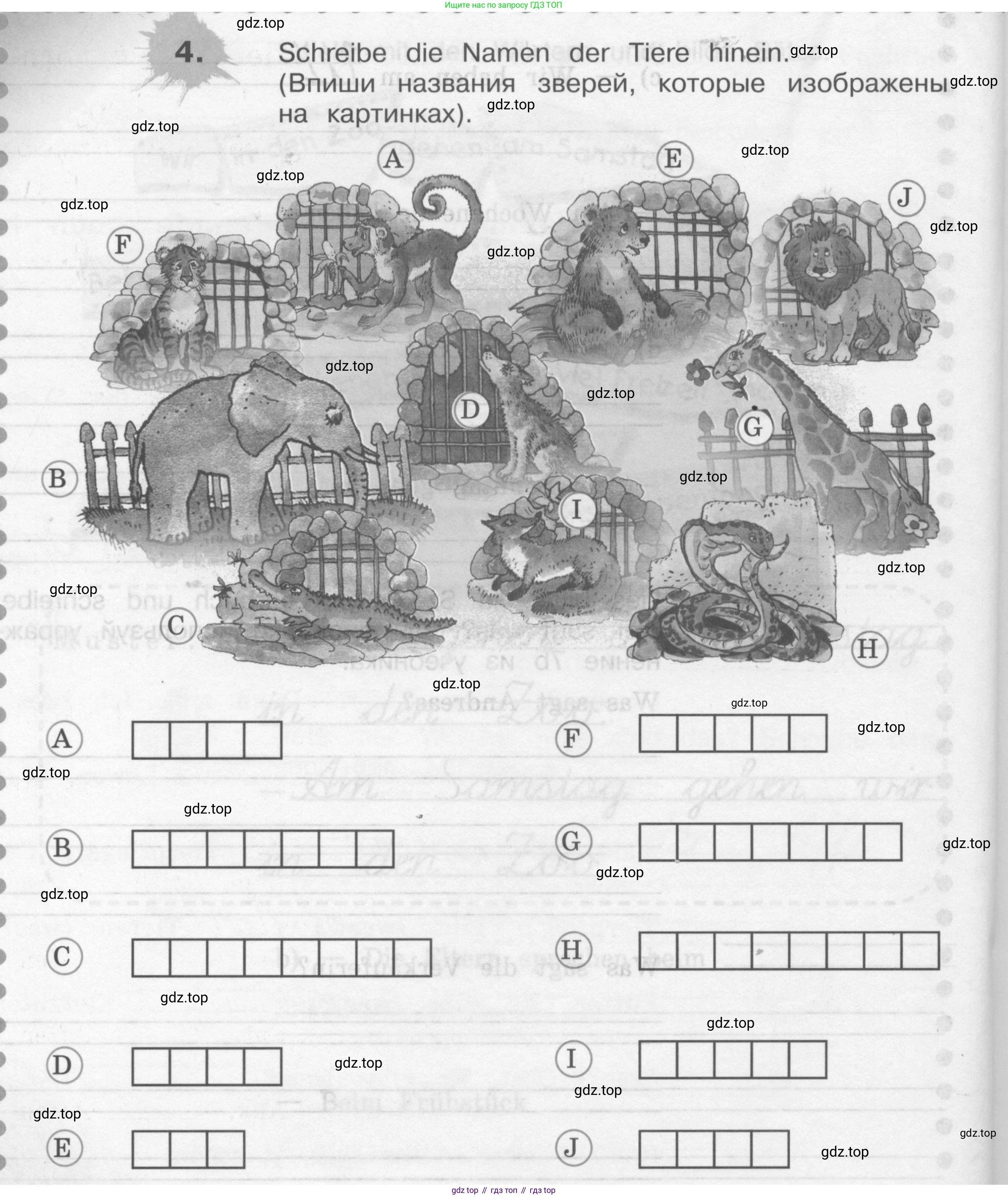 ГДЗ Немецкий язык (Deutsch), 4 класс рабочая тетрадь (arbeitsbuch), авторы: Бим Инесса Львовна (Bim I), Рыжова Лариса Ивановна (Ryschowa L), издательство Просвещение, Москва, 2023, серого цвета, Часть 2, страница 36, номер 4, Условие 2008-2022