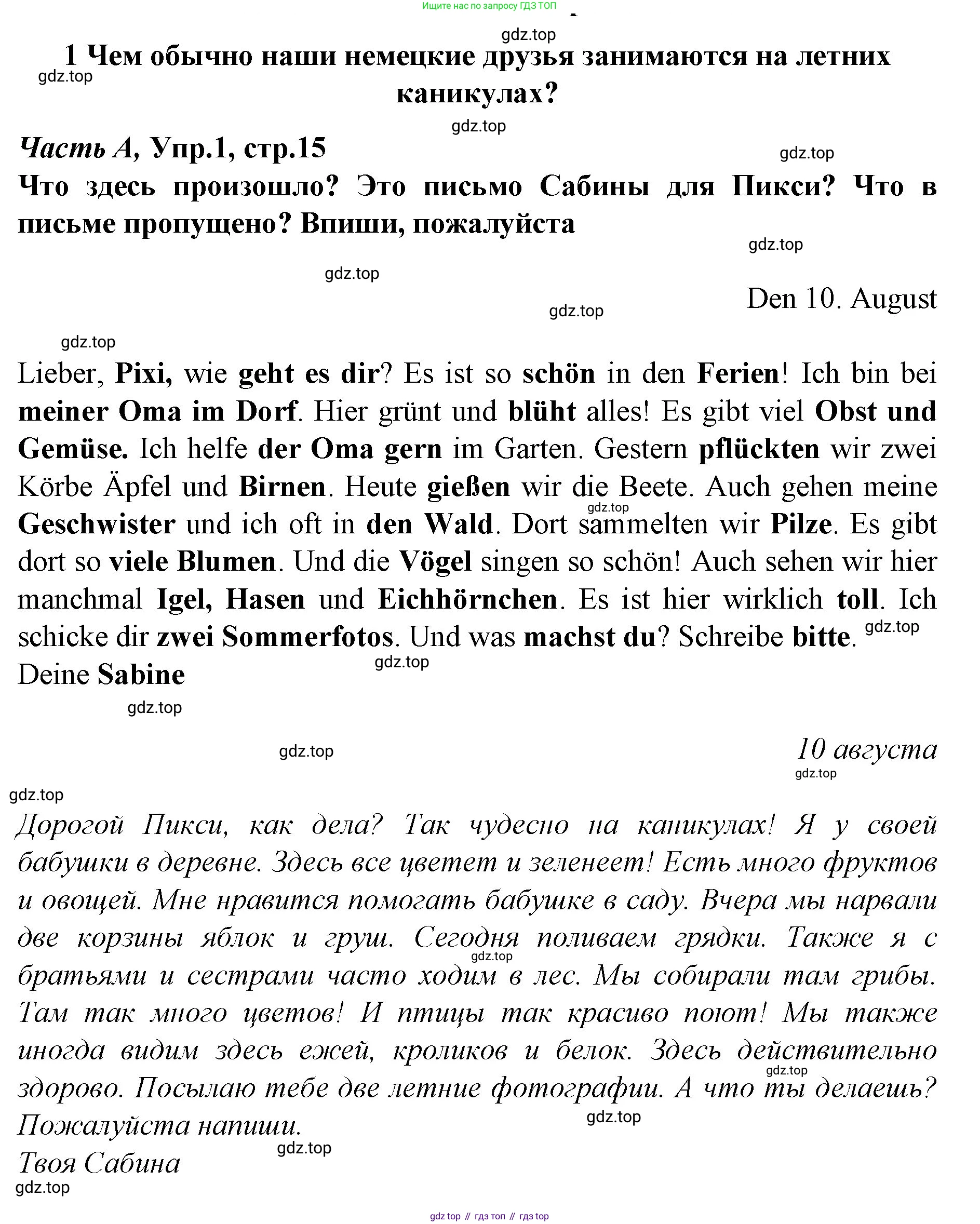 ГДЗ Немецкий язык (Deutsch), 4 класс рабочая тетрадь (arbeitsbuch), авторы: Бим Инесса Львовна (Bim I), Рыжова Лариса Ивановна (Ryschowa L), издательство Просвещение, Москва, 2023, серого цвета, Часть 1, страница 15, номер 1, Решение 2008-2022