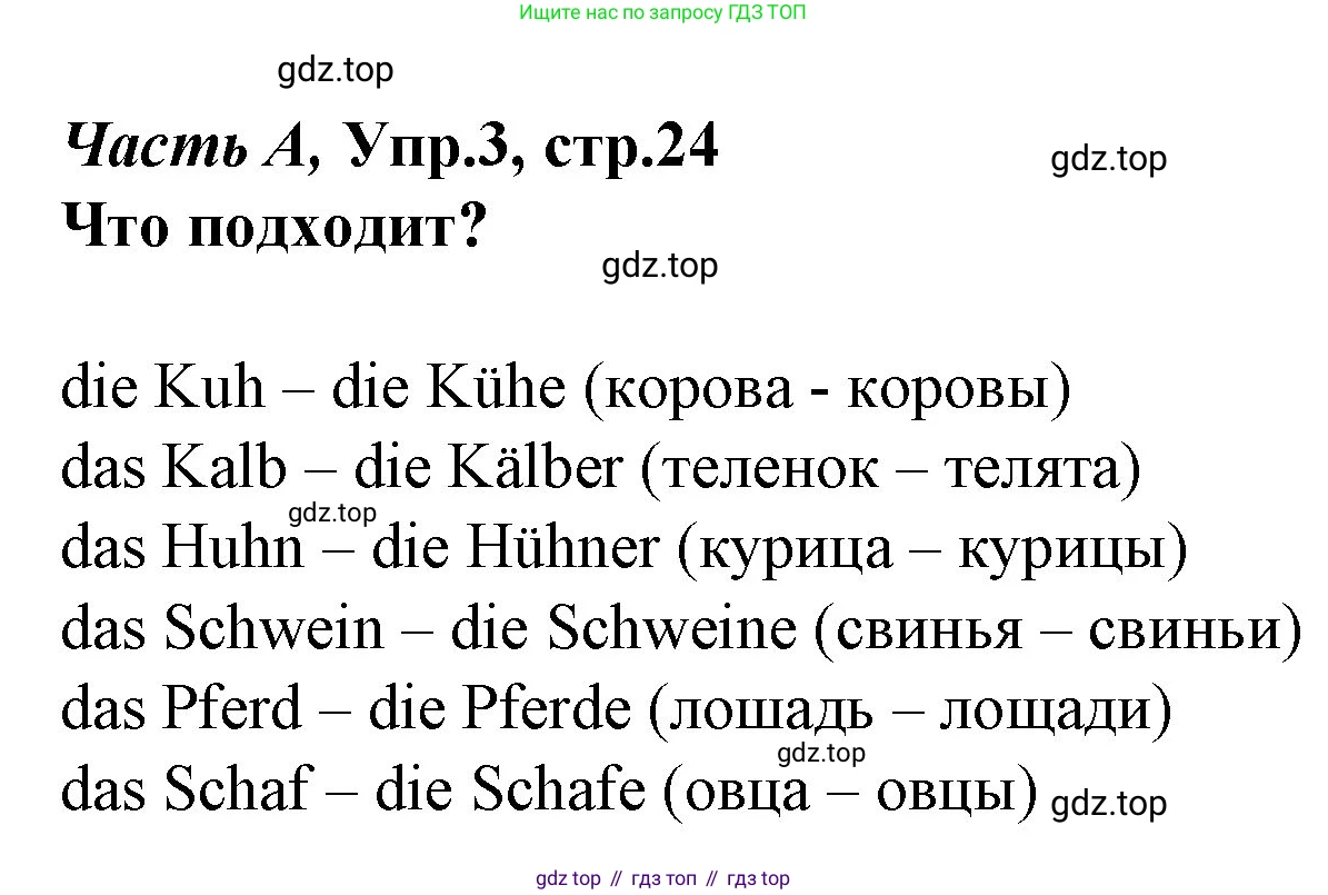 ГДЗ Немецкий язык (Deutsch), 4 класс рабочая тетрадь (arbeitsbuch), авторы: Бим Инесса Львовна (Bim I), Рыжова Лариса Ивановна (Ryschowa L), издательство Просвещение, Москва, 2023, серого цвета, Часть 1, страница 24, номер 3, Решение 2008-2022