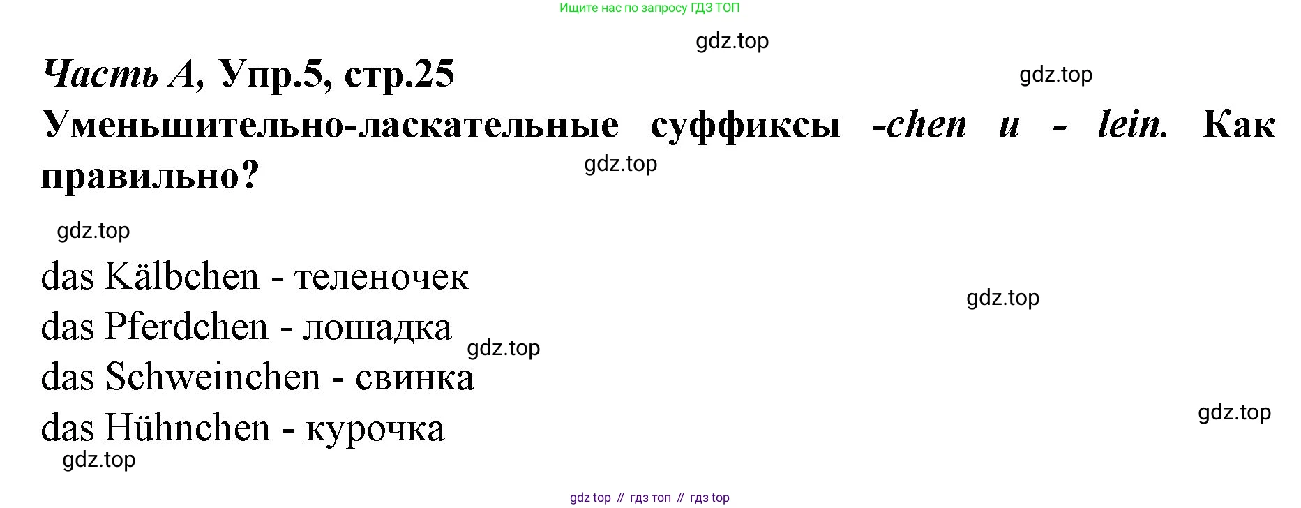 ГДЗ Немецкий язык (Deutsch), 4 класс рабочая тетрадь (arbeitsbuch), авторы: Бим Инесса Львовна (Bim I), Рыжова Лариса Ивановна (Ryschowa L), издательство Просвещение, Москва, 2023, серого цвета, Часть 1, страница 25, номер 5, Решение 2008-2022