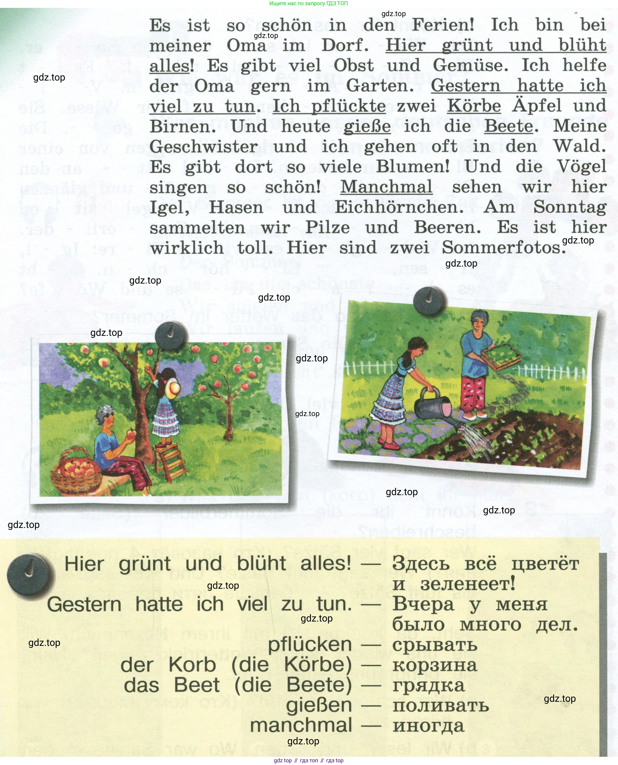Немецкий язык (Deutsch), 4 класс учебник (lehrbuch), авторы: Бим Инесса Львовна (Bim I), Рыжова Лариса Ивановна (Ryschowa L), издательство Просвещение, Москва, 2023, серого цвета, Часть 1, страница 21, номер 4, Условие 2023 (продолжение 2)