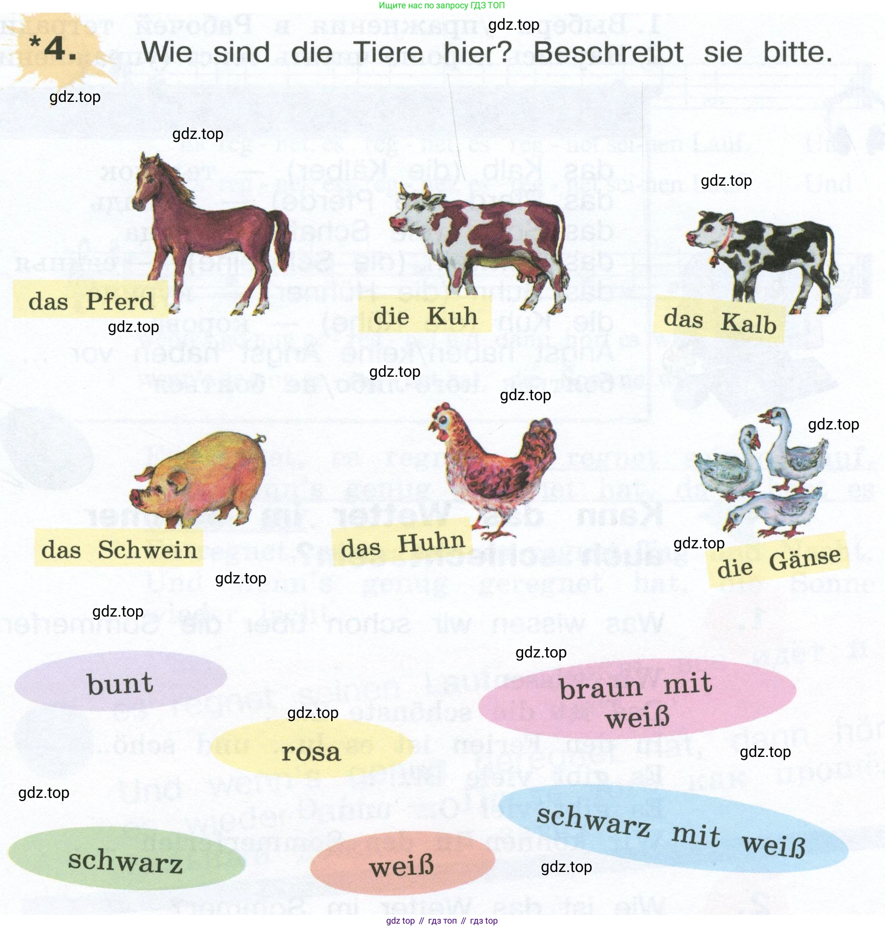 Немецкий язык (Deutsch), 4 класс учебник (lehrbuch), авторы: Бим Инесса Львовна (Bim I), Рыжова Лариса Ивановна (Ryschowa L), издательство Просвещение, Москва, 2023, серого цвета, Часть 1, страница 35, номер 4, Условие 2023