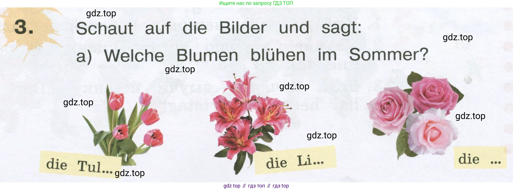 Немецкий язык (Deutsch), 4 класс учебник (lehrbuch), авторы: Бим Инесса Львовна (Bim I), Рыжова Лариса Ивановна (Ryschowa L), издательство Просвещение, Москва, 2023, серого цвета, Часть 1, страница 48, номер 3, Условие 2023