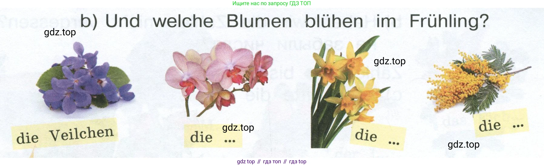 Немецкий язык (Deutsch), 4 класс учебник (lehrbuch), авторы: Бим Инесса Львовна (Bim I), Рыжова Лариса Ивановна (Ryschowa L), издательство Просвещение, Москва, 2023, серого цвета, Часть 1, страница 48, номер 3, Условие 2023 (продолжение 2)