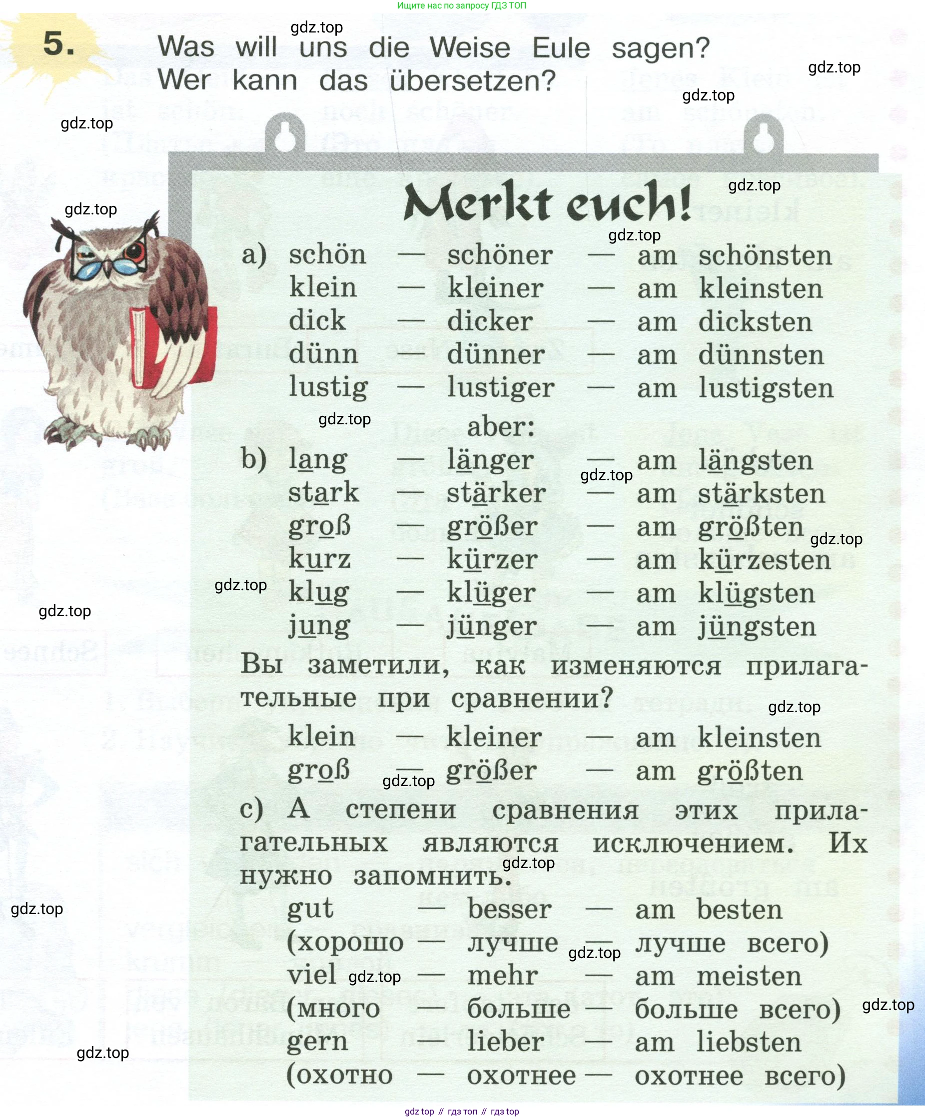 Немецкий язык (Deutsch), 4 класс учебник (lehrbuch), авторы: Бим Инесса Львовна (Bim I), Рыжова Лариса Ивановна (Ryschowa L), издательство Просвещение, Москва, 2023, серого цвета, Часть 2, страница 99, номер 5, Условие 2023
