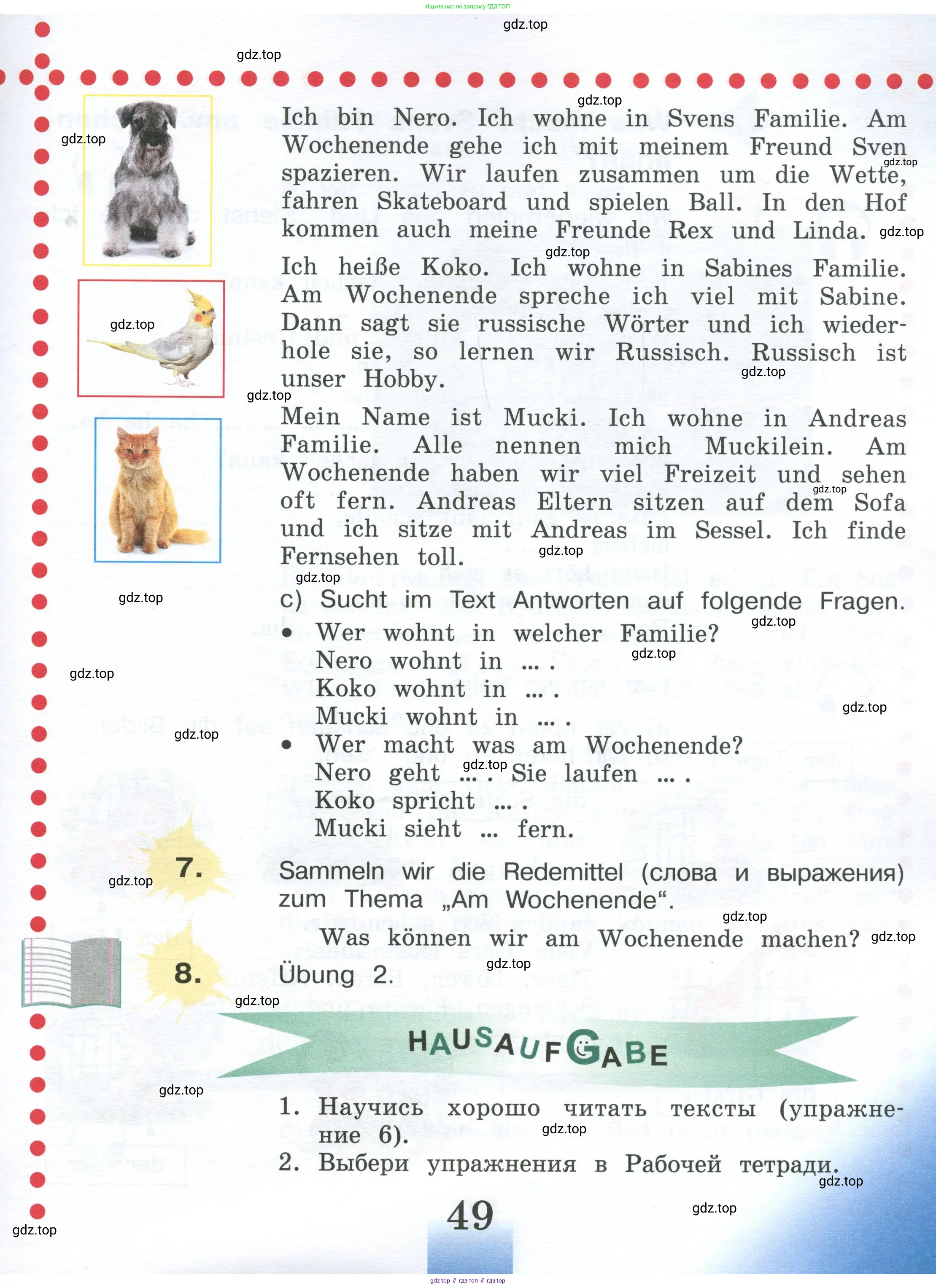 Немецкий язык (Deutsch), 4 класс учебник (lehrbuch), авторы: Бим Инесса Львовна (Bim I), Рыжова Лариса Ивановна (Ryschowa L), издательство Просвещение, Москва, 2023, серого цвета, Часть 1, страница 49