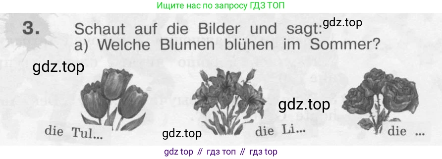 Немецкий язык (Deutsch), 4 класс учебник (lehrbuch), авторы: Бим Инесса Львовна (Bim I), Рыжова Лариса Ивановна (Ryschowa L), издательство Просвещение, Москва, 2023, серого цвета, Часть 1, страница 48, номер 3, Условие 2011-2022