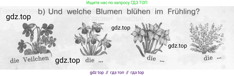 Немецкий язык (Deutsch), 4 класс учебник (lehrbuch), авторы: Бим Инесса Львовна (Bim I), Рыжова Лариса Ивановна (Ryschowa L), издательство Просвещение, Москва, 2023, серого цвета, Часть 1, страница 48, номер 3, Условие 2011-2022 (продолжение 2)