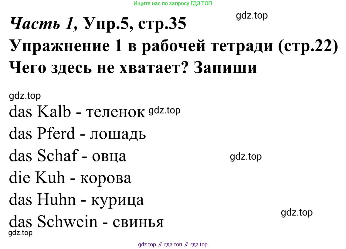 Немецкий язык (Deutsch), 4 класс учебник (lehrbuch), авторы: Бим Инесса Львовна (Bim I), Рыжова Лариса Ивановна (Ryschowa L), издательство Просвещение, Москва, 2023, серого цвета, Часть 1, страница 35, номер 5, Решение 2023