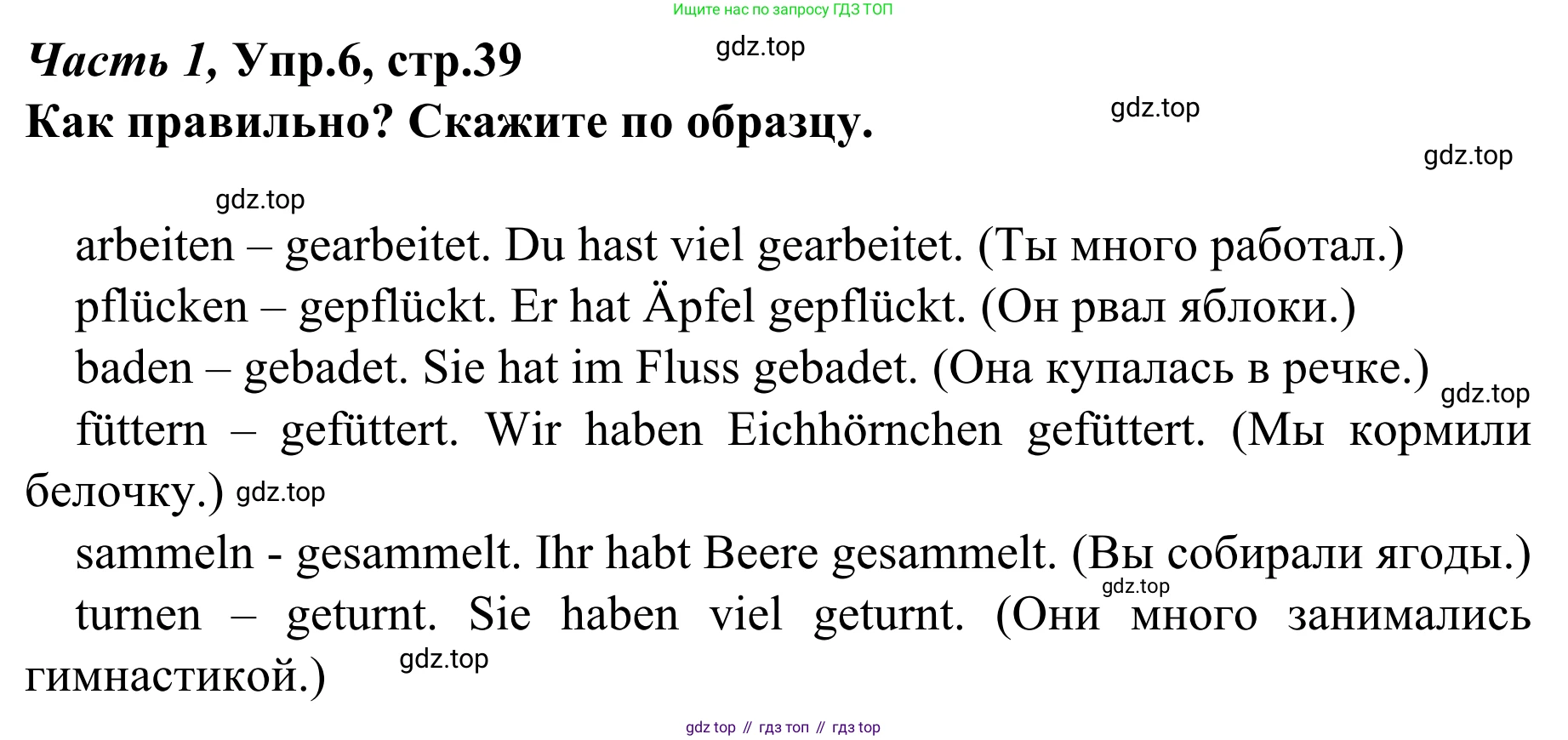 Немецкий язык (Deutsch), 4 класс учебник (lehrbuch), авторы: Бим Инесса Львовна (Bim I), Рыжова Лариса Ивановна (Ryschowa L), издательство Просвещение, Москва, 2023, серого цвета, Часть 1, страница 39, номер 6, Решение 2023