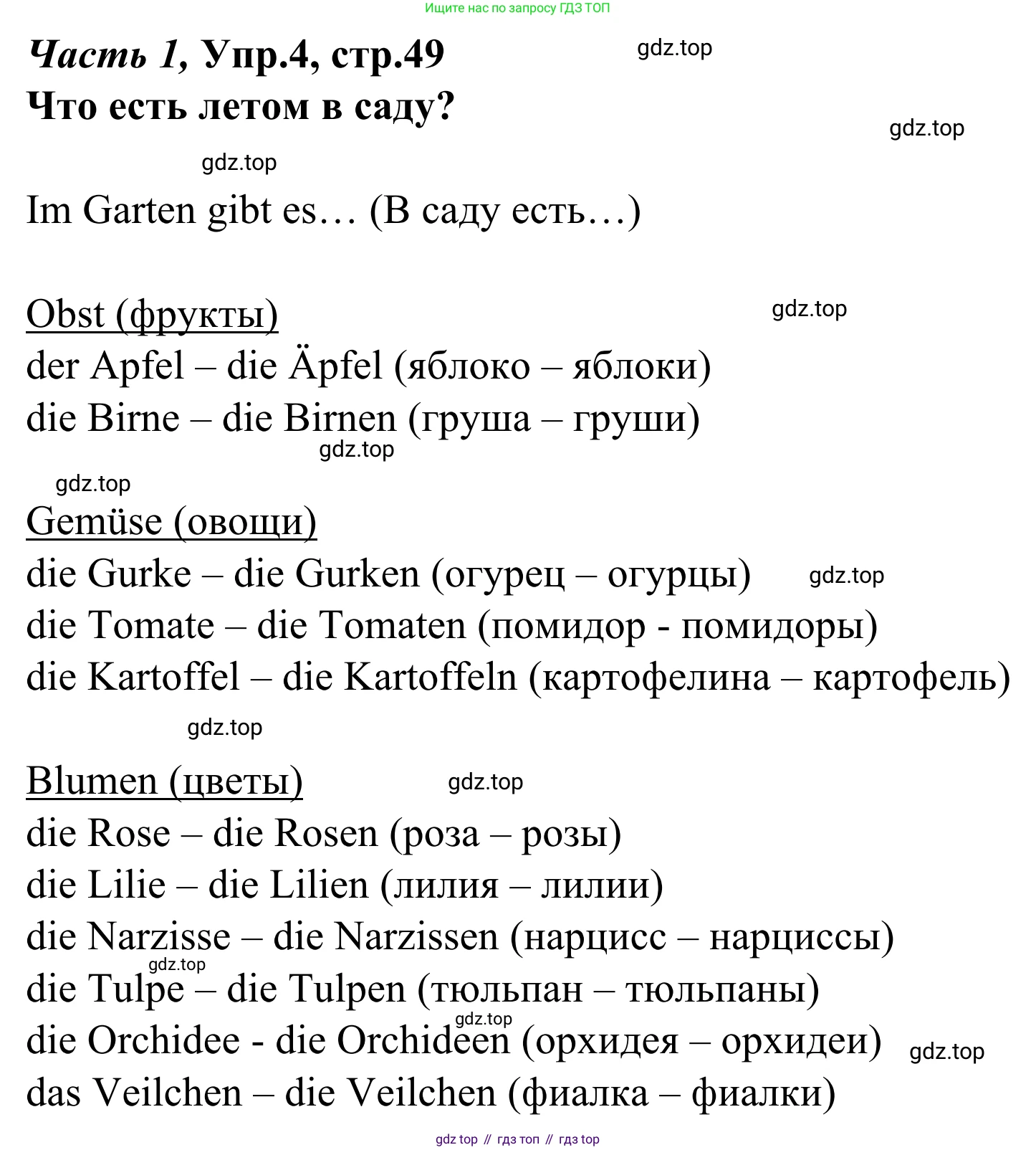 Немецкий язык (Deutsch), 4 класс учебник (lehrbuch), авторы: Бим Инесса Львовна (Bim I), Рыжова Лариса Ивановна (Ryschowa L), издательство Просвещение, Москва, 2023, серого цвета, Часть 1, страница 49, номер 4, Решение 2023