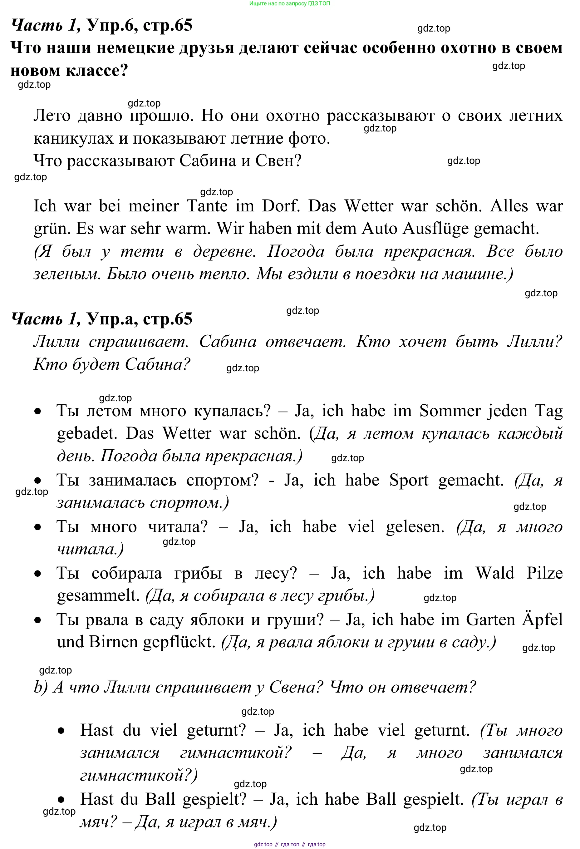 Немецкий язык (Deutsch), 4 класс учебник (lehrbuch), авторы: Бим Инесса Львовна (Bim I), Рыжова Лариса Ивановна (Ryschowa L), издательство Просвещение, Москва, 2023, серого цвета, Часть 1, страница 65, номер 6, Решение 2023