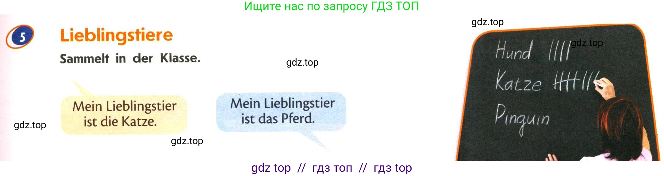 Немецкий язык (Deutsch), 5 класс учебник (lehrbuch), авторы: Аверин Михаил Михайлович (Awerin М), Джин Фридерике (Jin Friederike), Рорман Лутц (Rohrmann Lutz), Збранкова Милена, издательство Просвещение, Москва, 2023, оранжевого цвета, страница 27, номер 5, Условие