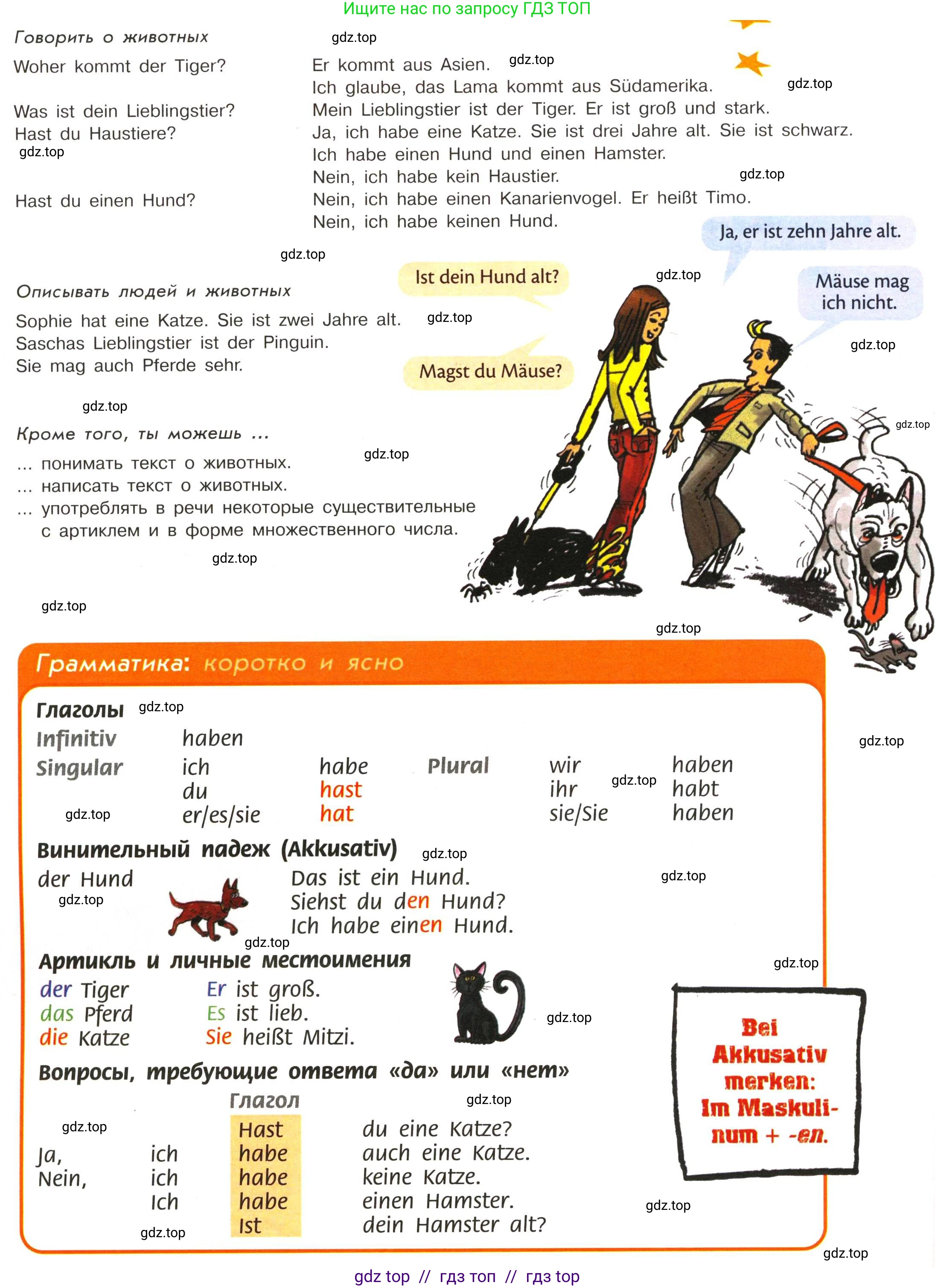 Немецкий язык (Deutsch), 5 класс учебник (lehrbuch), авторы: Аверин Михаил Михайлович (Awerin М), Джин Фридерике (Jin Friederike), Рорман Лутц (Rohrmann Lutz), Збранкова Милена, издательство Просвещение, Москва, 2023, оранжевого цвета, страница 33, номер 3, Условие (продолжение 2)
