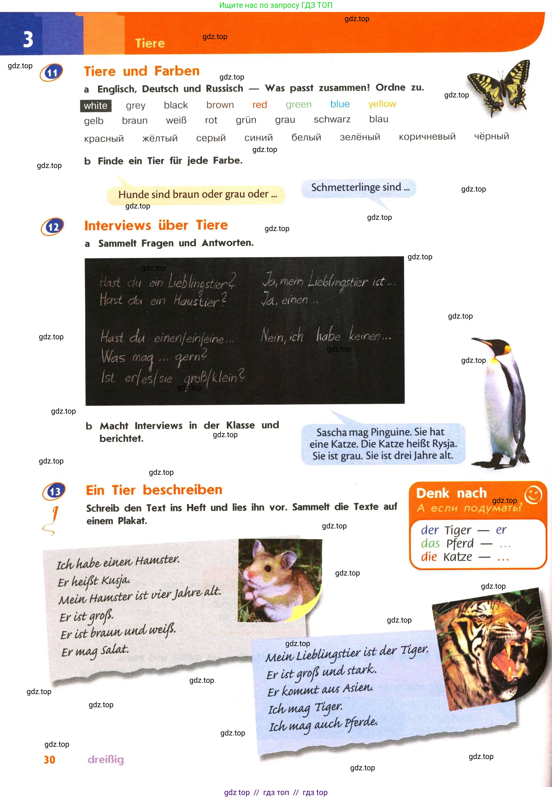 Немецкий язык (Deutsch), 5 класс учебник (lehrbuch), авторы: Аверин Михаил Михайлович (Awerin М), Джин Фридерике (Jin Friederike), Рорман Лутц (Rohrmann Lutz), Збранкова Милена, издательство Просвещение, Москва, 2023, оранжевого цвета, страница 30