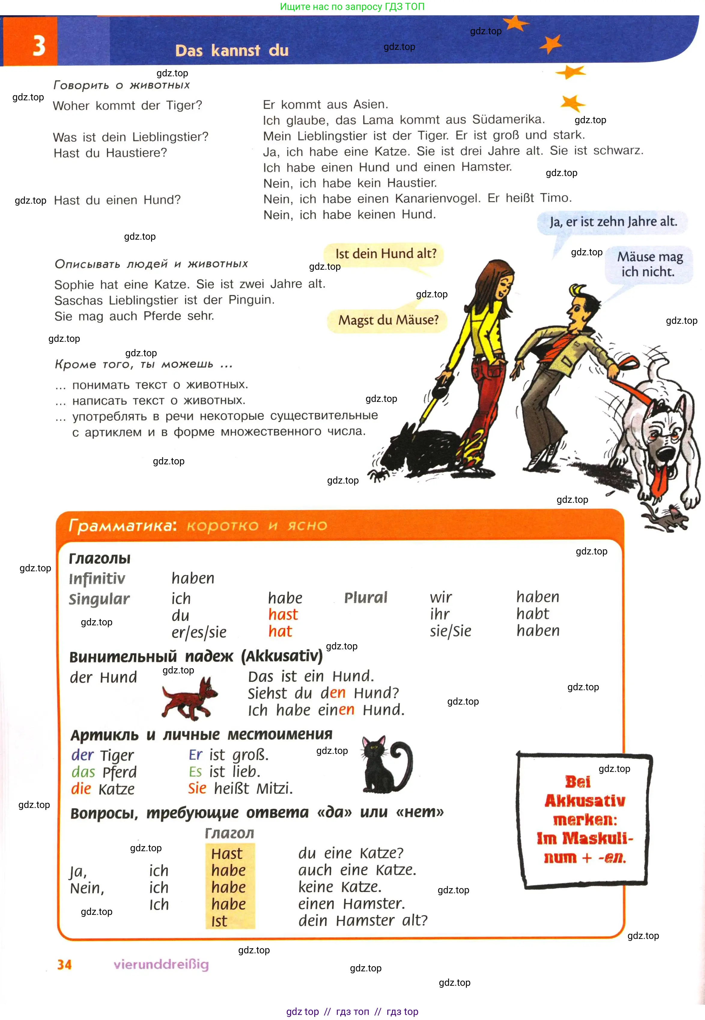 Немецкий язык (Deutsch), 5 класс учебник (lehrbuch), авторы: Аверин Михаил Михайлович (Awerin М), Джин Фридерике (Jin Friederike), Рорман Лутц (Rohrmann Lutz), Збранкова Милена, издательство Просвещение, Москва, 2023, оранжевого цвета, страница 34