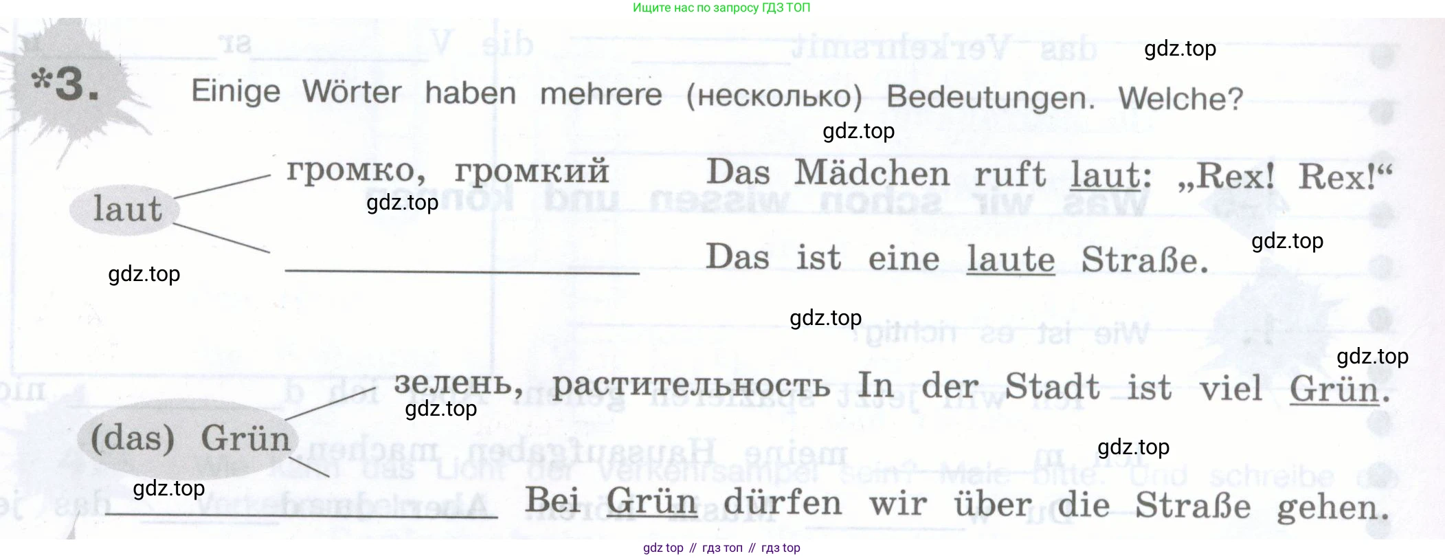 Немецкий язык (Deutsch), 5 класс рабочая тетрадь (arbeitsbuch), авторы: Бим Инесса Львовна (Bim I), Рыжова Лариса Ивановна (Ryschowa L), издательство Просвещение, Москва, 2023, голубого цвета, страница 43, номер 3, Условие