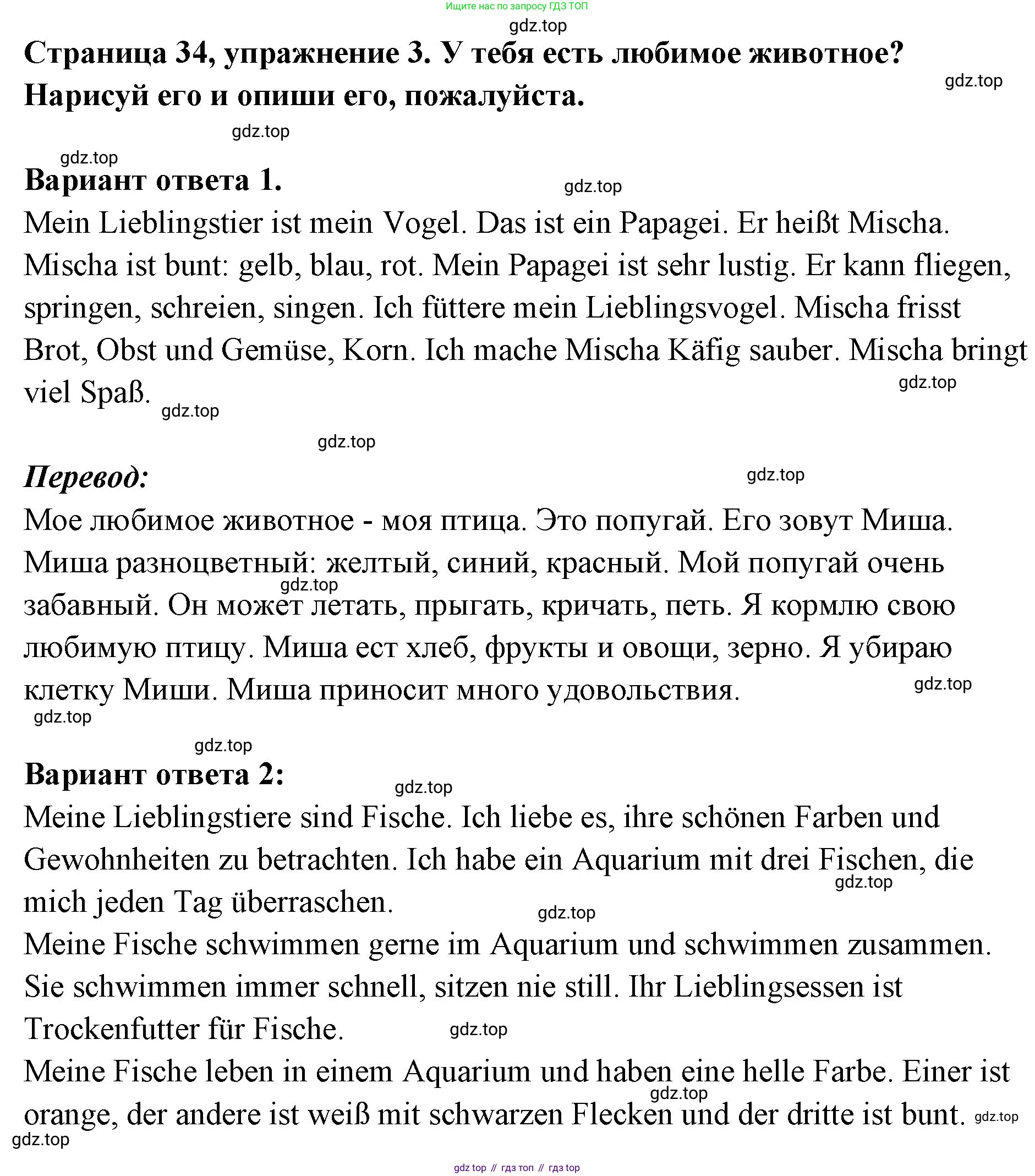 Немецкий язык (Deutsch), 5 класс рабочая тетрадь (arbeitsbuch), авторы: Бим Инесса Львовна (Bim I), Рыжова Лариса Ивановна (Ryschowa L), издательство Просвещение, Москва, 2023, голубого цвета, страница 34, номер 3, Решение