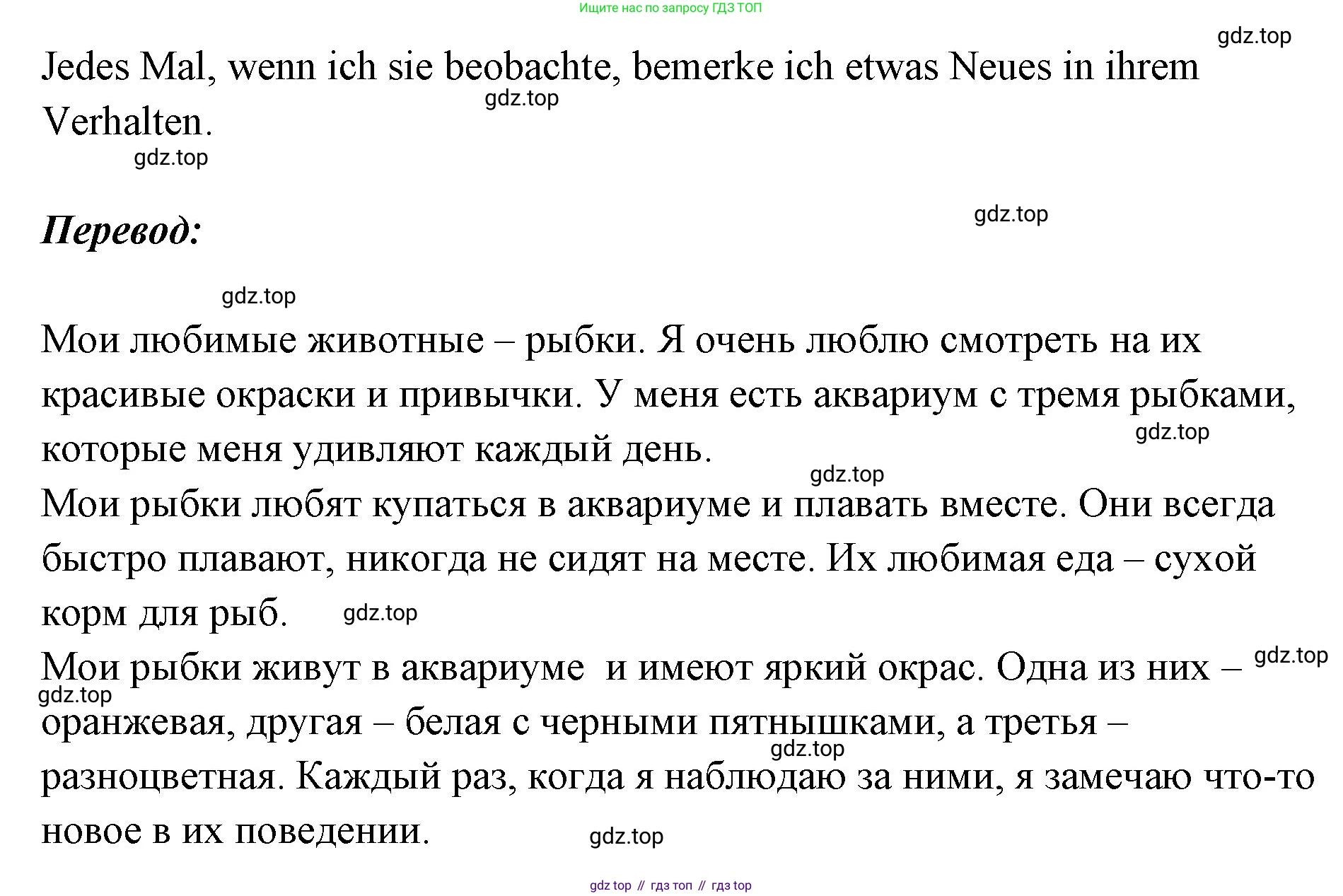 Немецкий язык (Deutsch), 5 класс рабочая тетрадь (arbeitsbuch), авторы: Бим Инесса Львовна (Bim I), Рыжова Лариса Ивановна (Ryschowa L), издательство Просвещение, Москва, 2023, голубого цвета, страница 34, номер 3, Решение (продолжение 2)