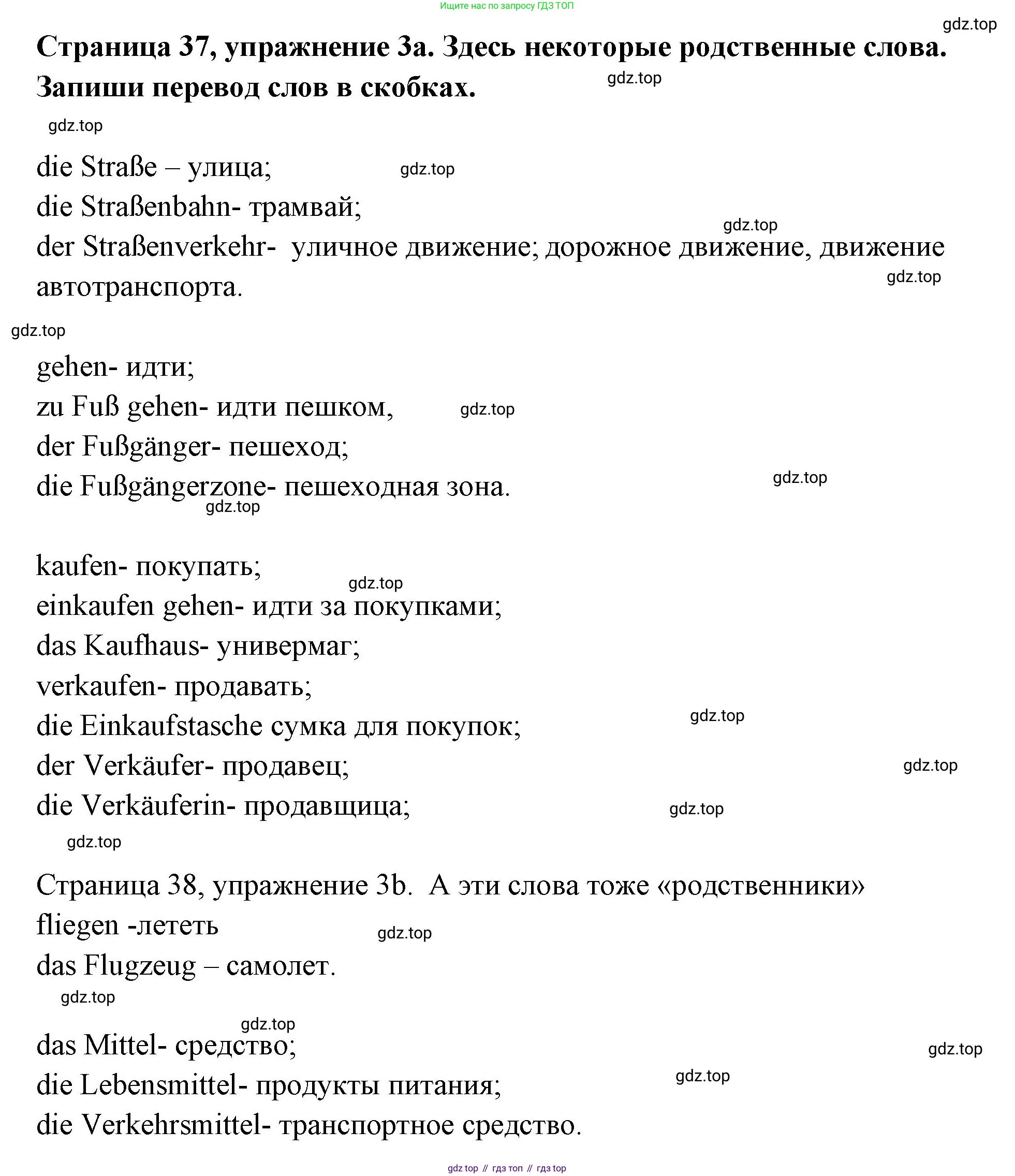 Немецкий язык (Deutsch), 5 класс рабочая тетрадь (arbeitsbuch), авторы: Бим Инесса Львовна (Bim I), Рыжова Лариса Ивановна (Ryschowa L), издательство Просвещение, Москва, 2023, голубого цвета, страница 37, номер 3, Решение