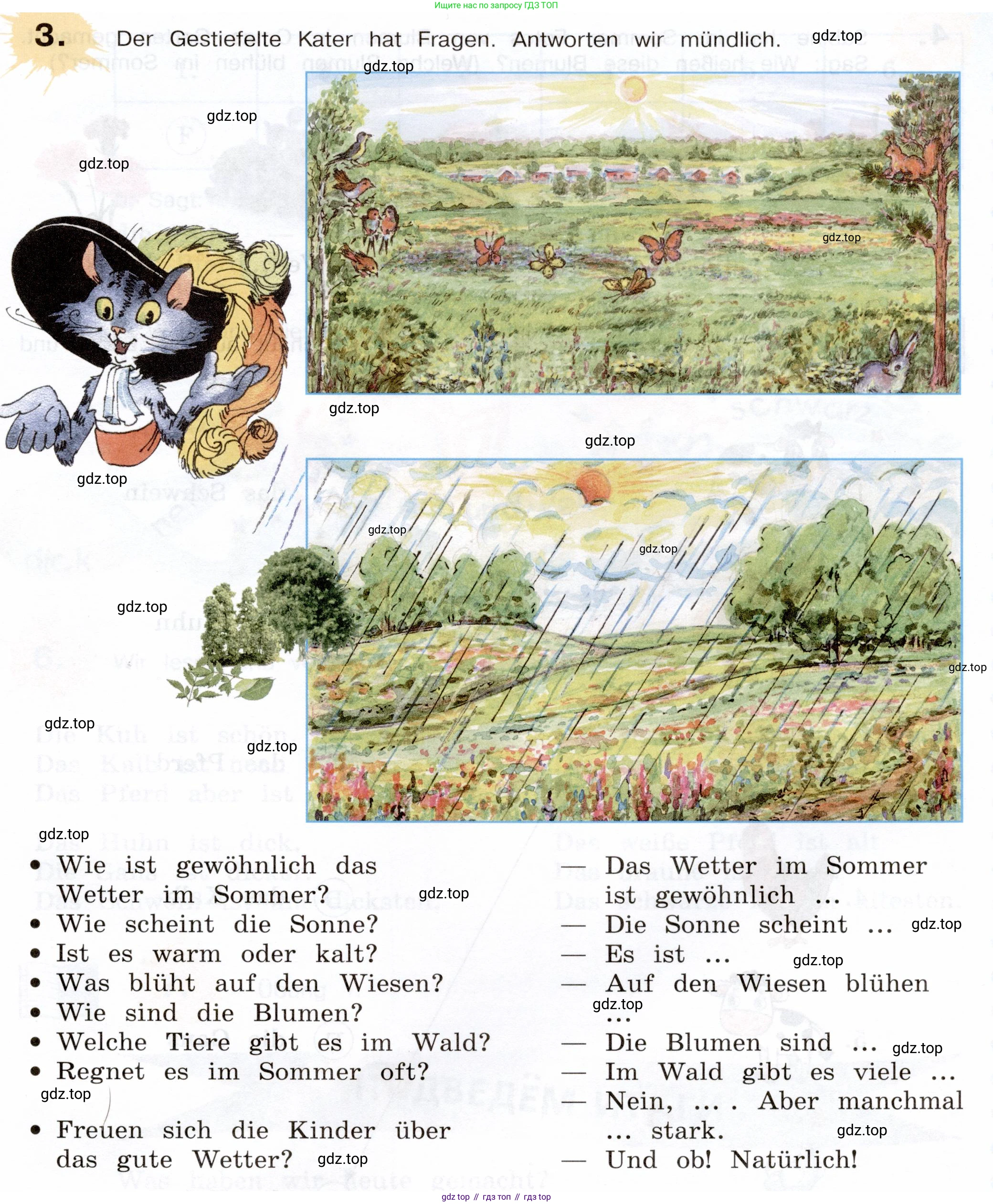 Немецкий язык (Deutsch), 5 класс учебник (lehrbuch), авторы: Бим Инесса Львовна (Bim I), Рыжова Лариса Ивановна (Ryschowa L), издательство Просвещение, Москва, 2023, голубого цвета, страница 19, номер 3, Условие