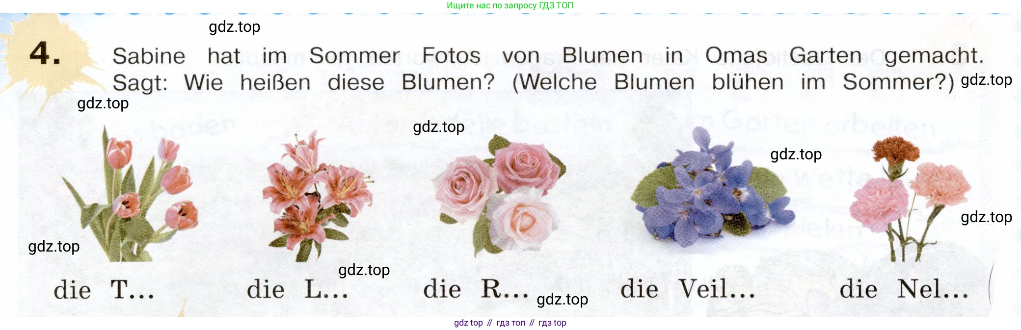 Немецкий язык (Deutsch), 5 класс учебник (lehrbuch), авторы: Бим Инесса Львовна (Bim I), Рыжова Лариса Ивановна (Ryschowa L), издательство Просвещение, Москва, 2023, голубого цвета, страница 20, номер 4, Условие