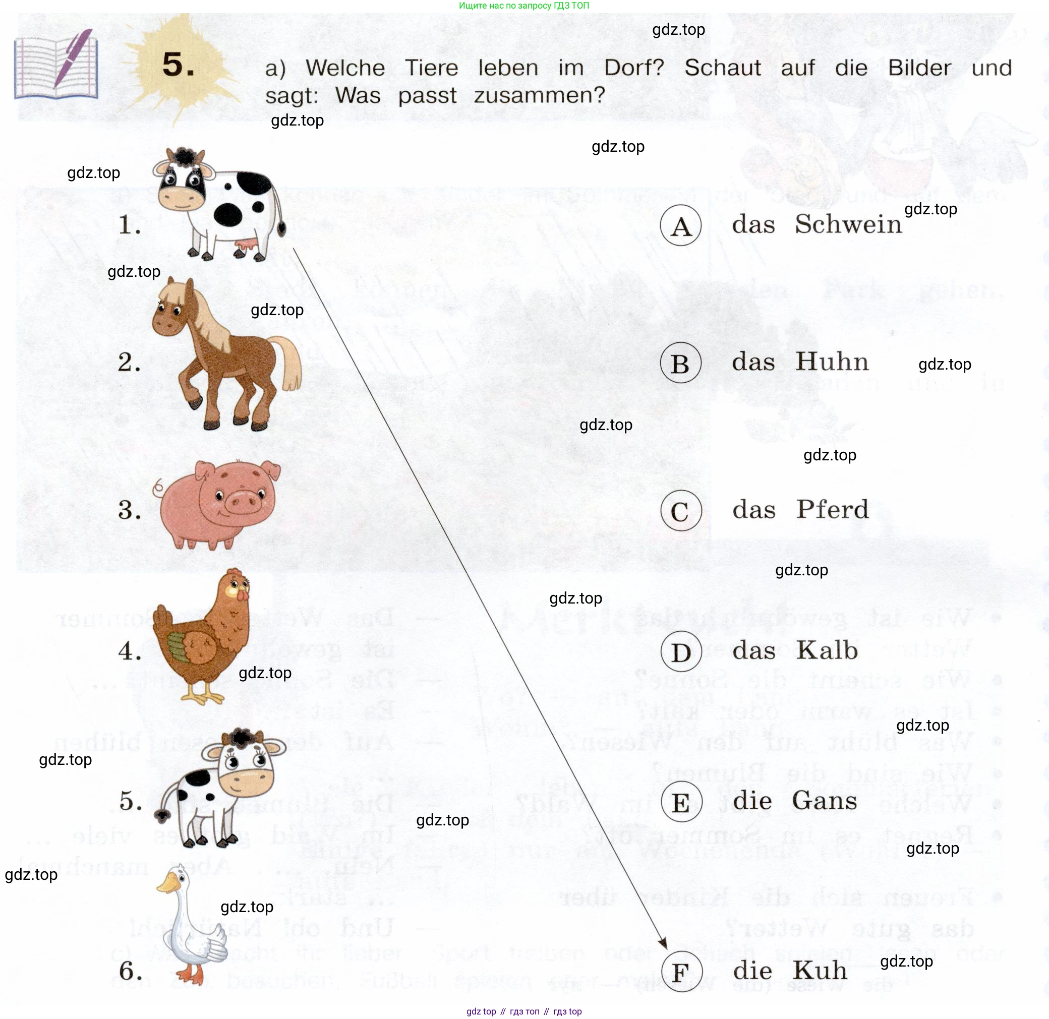 Немецкий язык (Deutsch), 5 класс учебник (lehrbuch), авторы: Бим Инесса Львовна (Bim I), Рыжова Лариса Ивановна (Ryschowa L), издательство Просвещение, Москва, 2023, голубого цвета, страница 20, номер 5, Условие