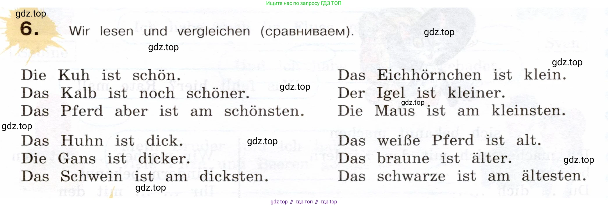 Немецкий язык (Deutsch), 5 класс учебник (lehrbuch), авторы: Бим Инесса Львовна (Bim I), Рыжова Лариса Ивановна (Ryschowa L), издательство Просвещение, Москва, 2023, голубого цвета, страница 21, номер 6, Условие