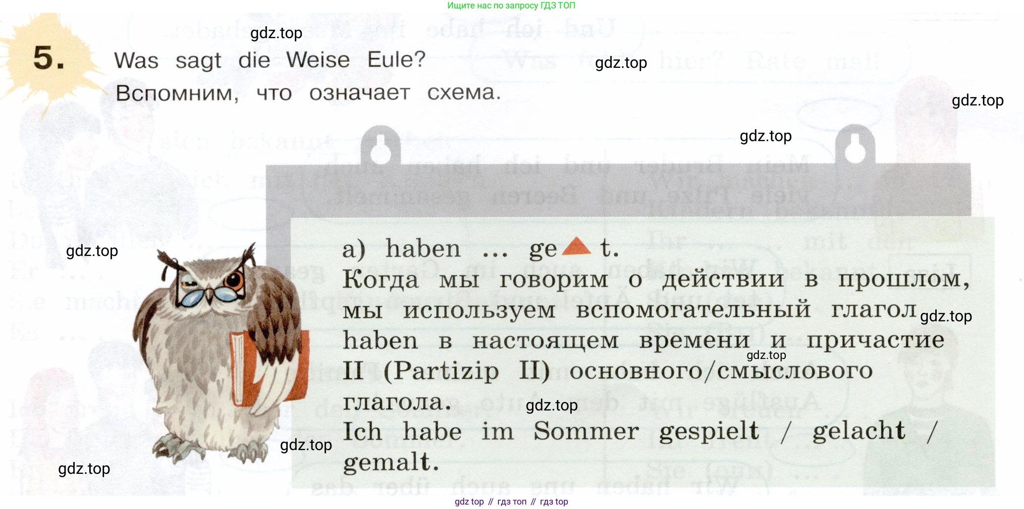 Немецкий язык (Deutsch), 5 класс учебник (lehrbuch), авторы: Бим Инесса Львовна (Bim I), Рыжова Лариса Ивановна (Ryschowa L), издательство Просвещение, Москва, 2023, голубого цвета, страница 24, номер 5, Условие